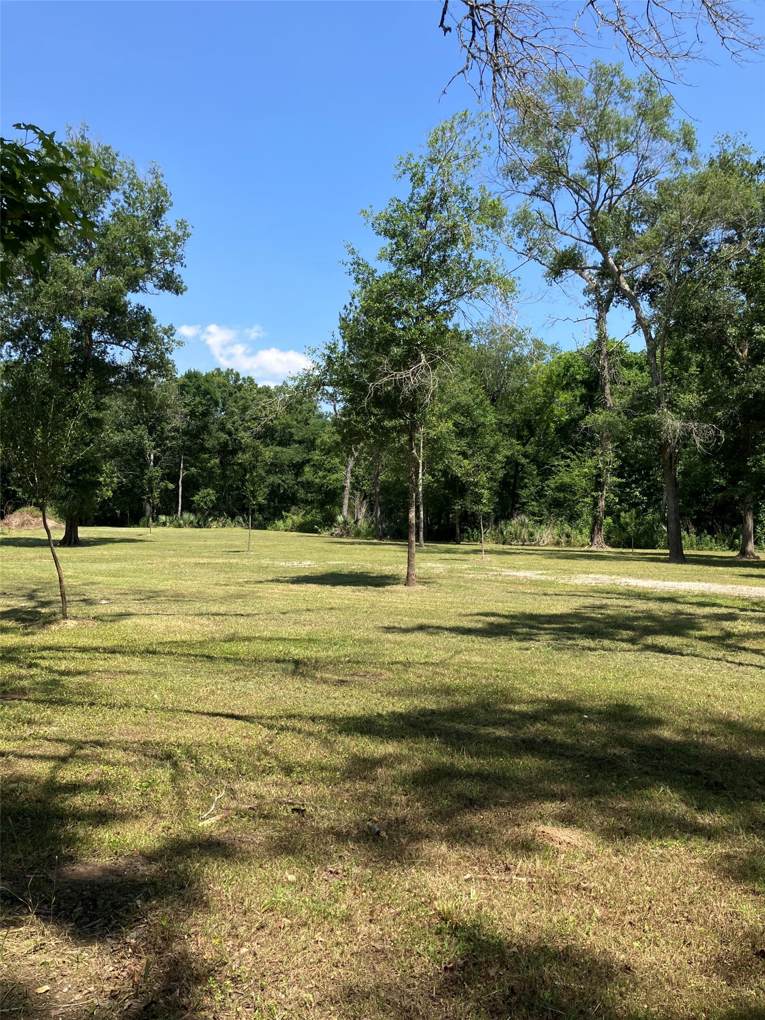 20206 Shady Lane, Crosby, TX 77532