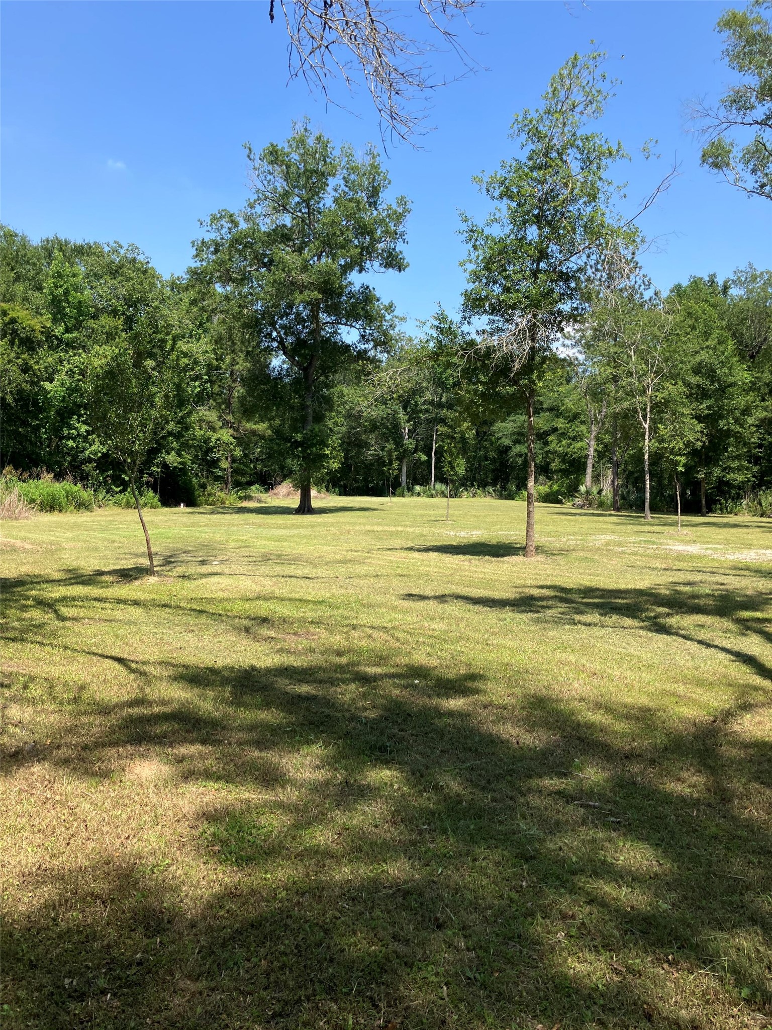 20206 Shady Lane, Crosby, TX 77532
