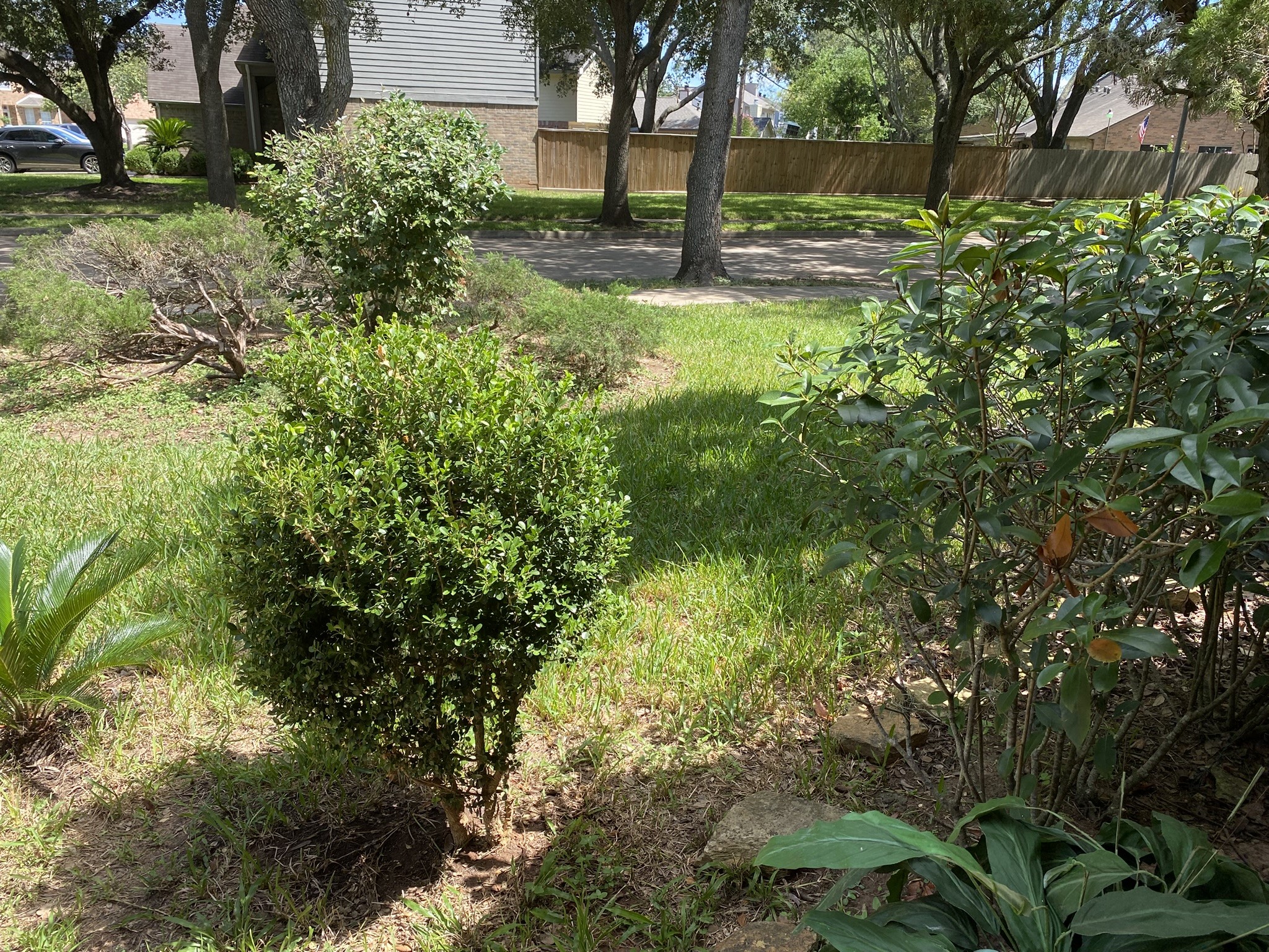 2426 Lakefield Way, Sugar Land, TX 77479