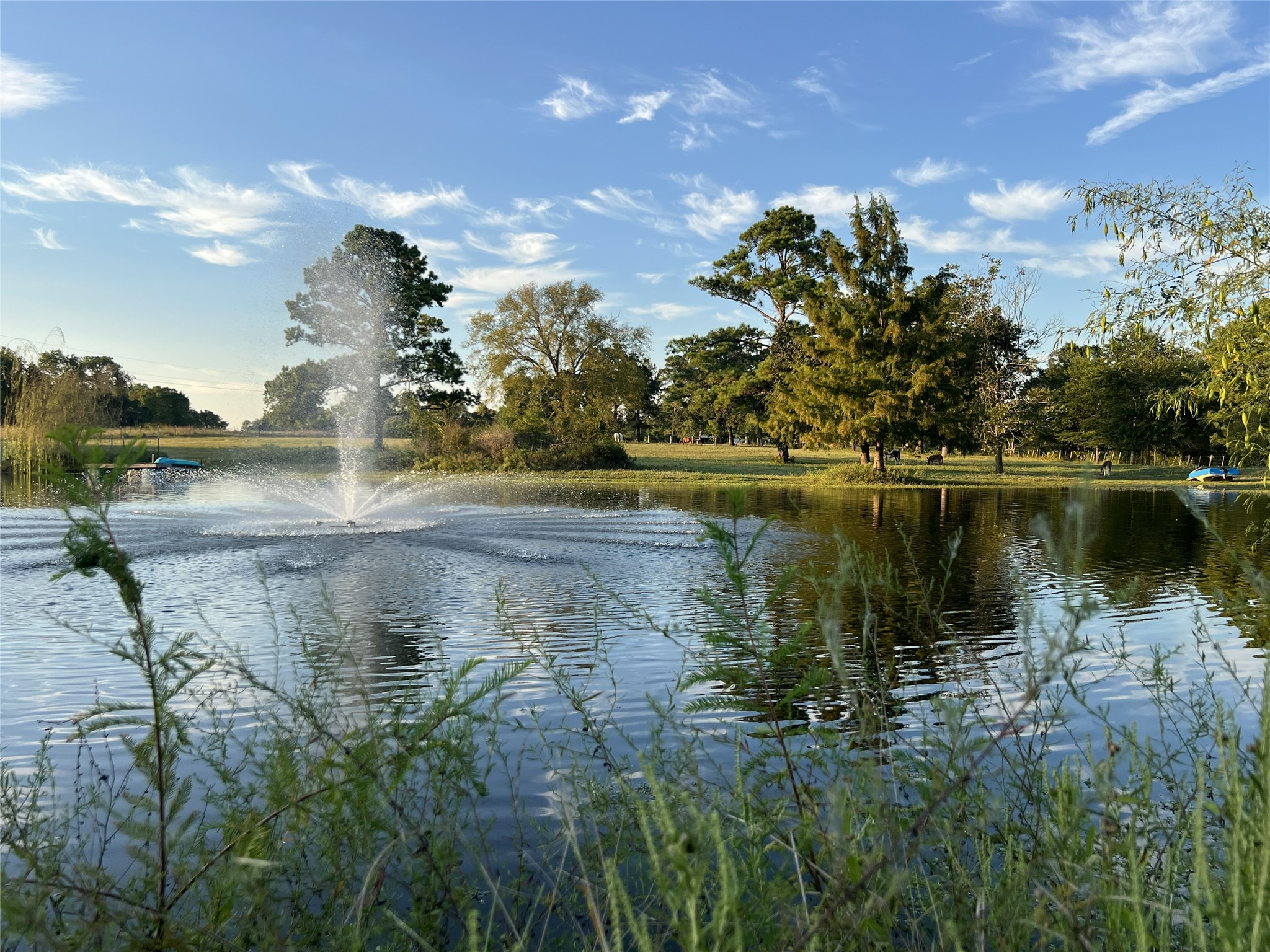 10176 Pooles Road, Montgomery, TX 77356 10176 Pooles Road, Montgomery, TX 77356