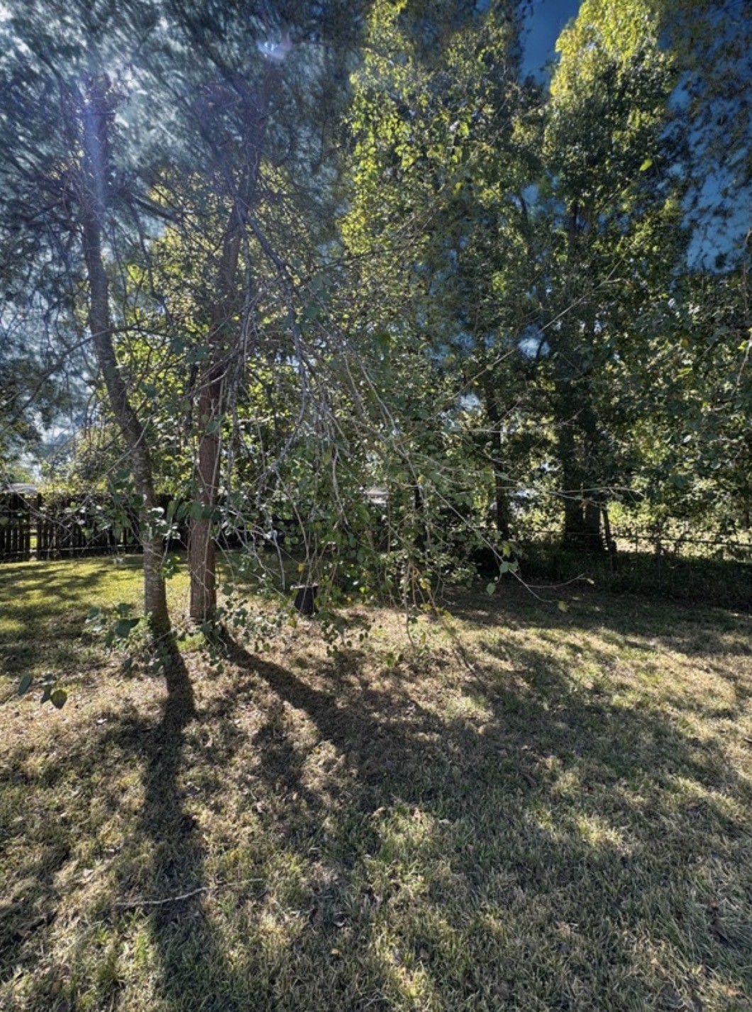 10411 Bantum Street, Houston, TX 77093