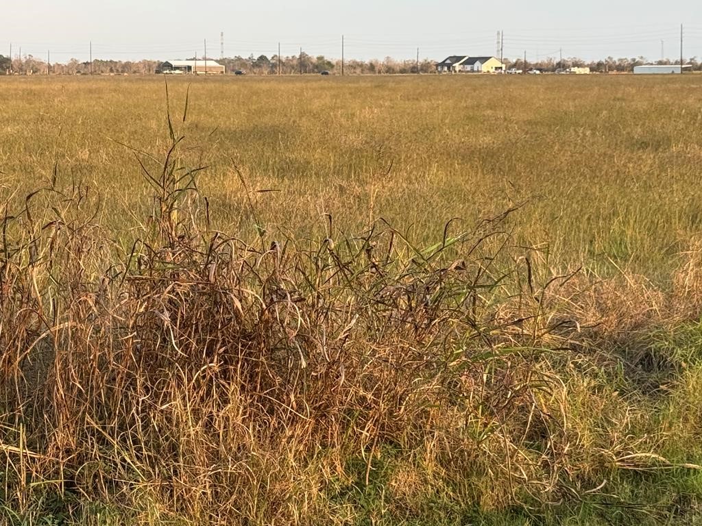 25 ACRES COUNTY ROAD 45, Angleton, TX 77515