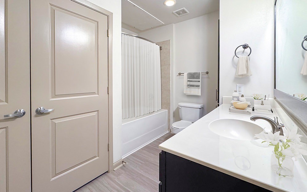 2700 Brazos Street, #1411, Houston, TX 77006