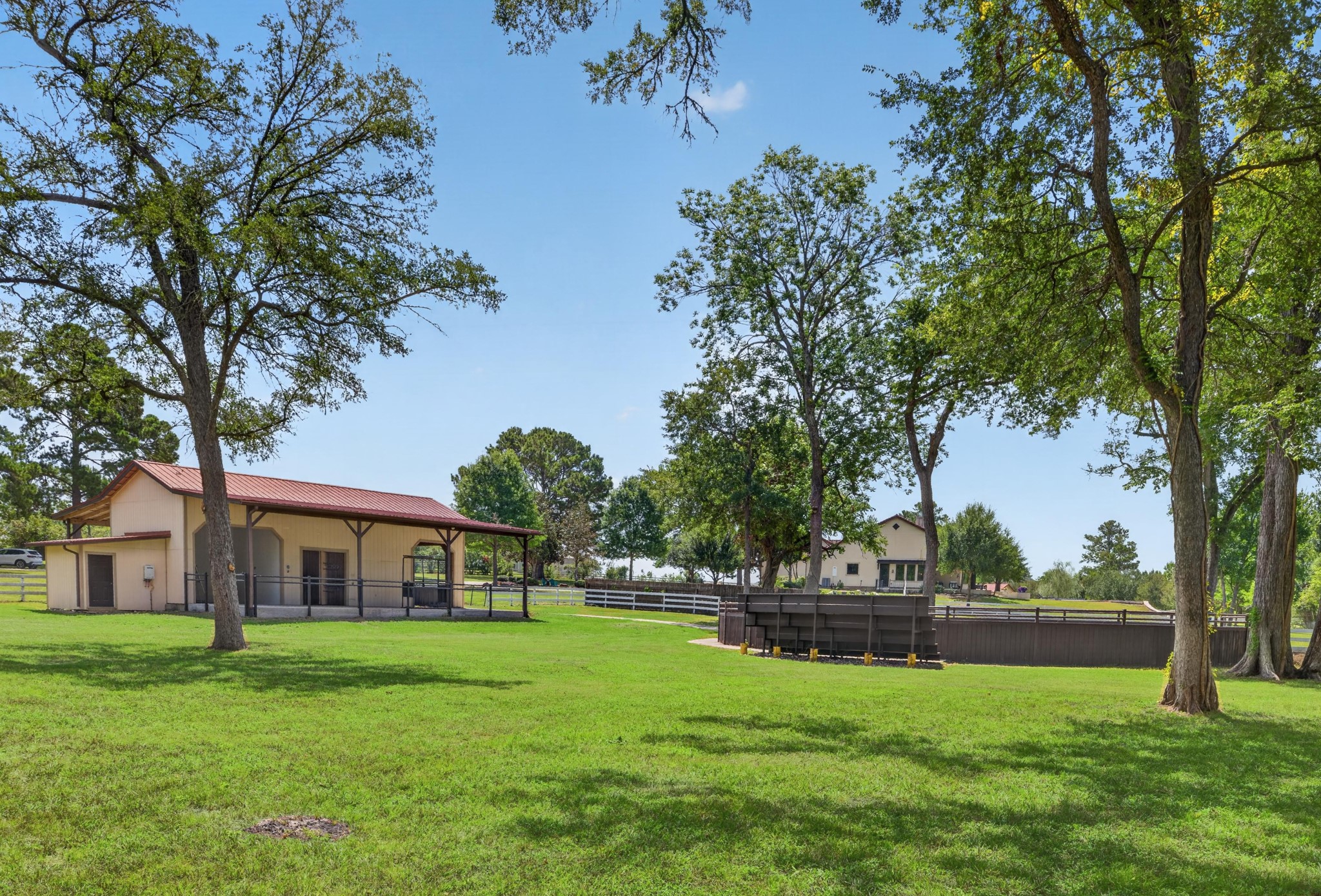 From shaded bleachers, watch children and grandchildren grow confident in the saddle beneath the oak.