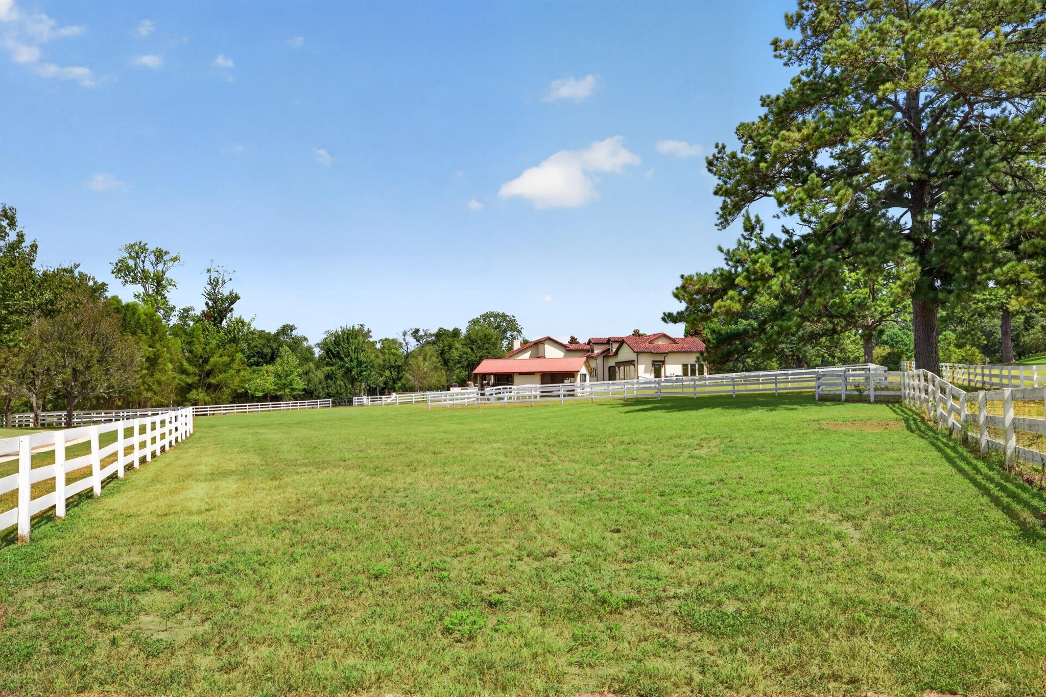 Fenced paddocks and open pasture bring horses, family and the land into one daily rhythm.