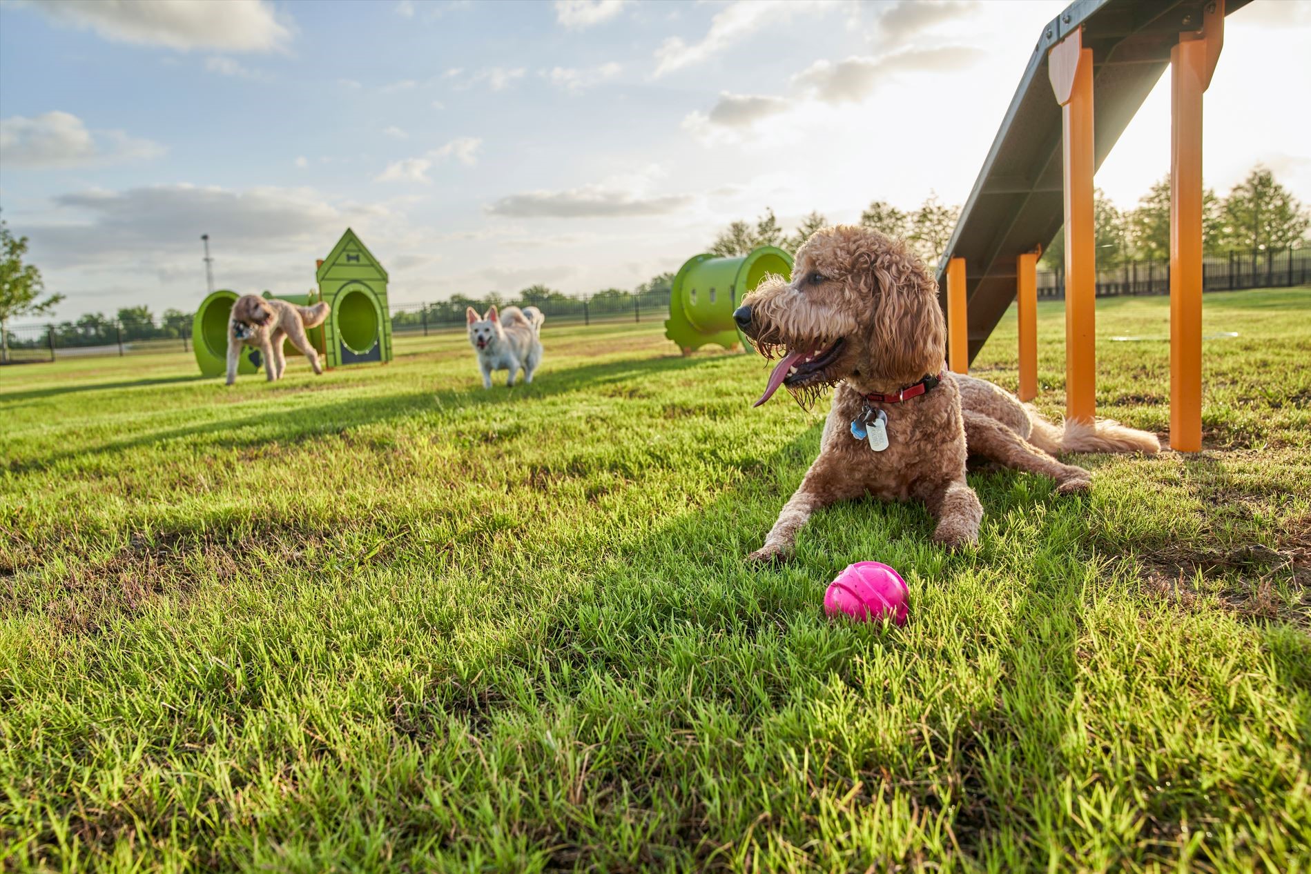 Community Amenities
