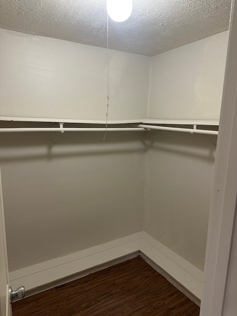 spacious primary closet