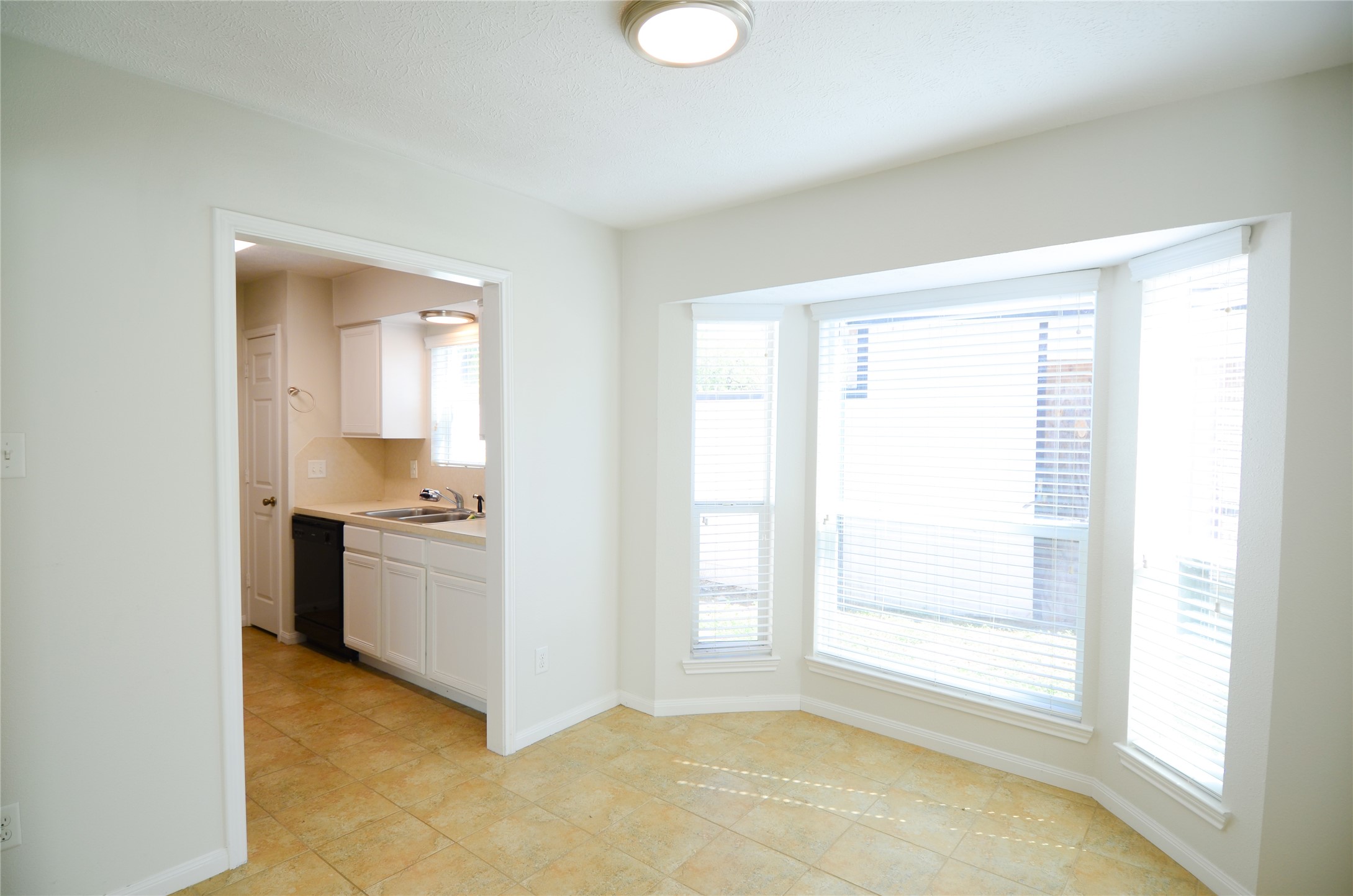 10603 Buffalo Bend Drive, Houston, TX 77064