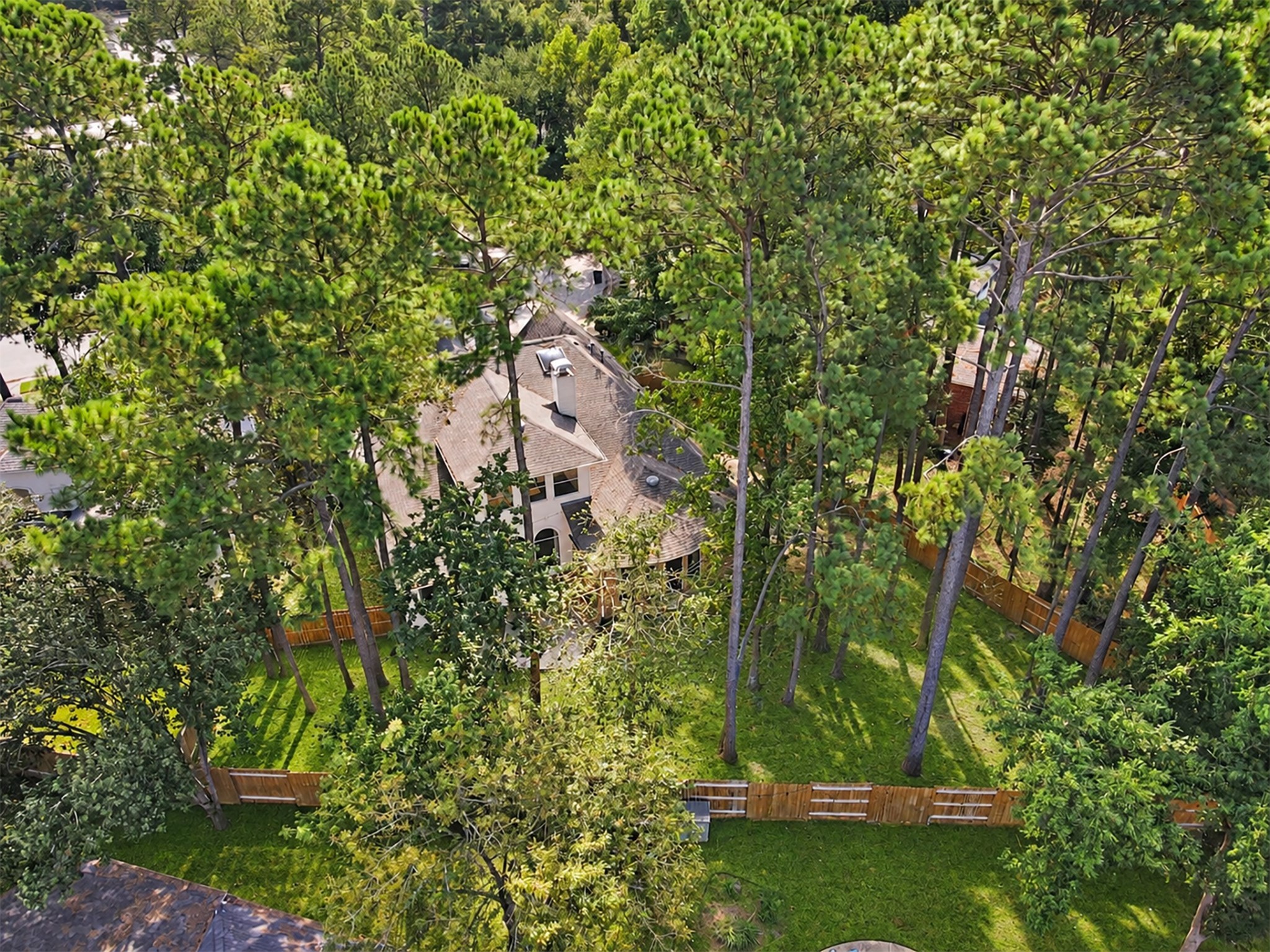 Mature trees provide great shade!
