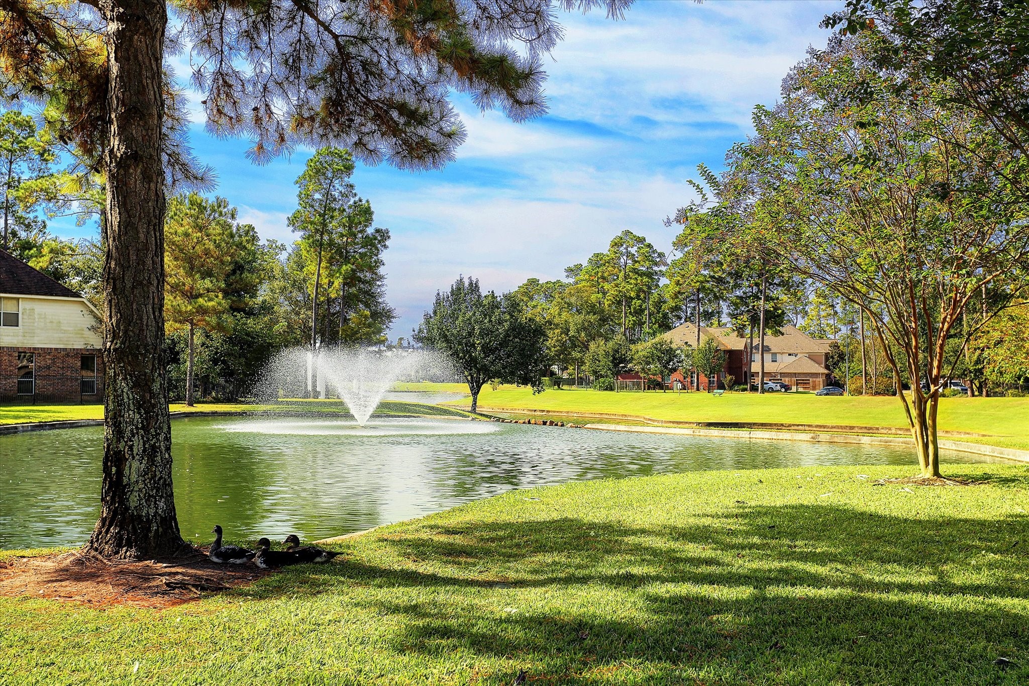 Meet some of the neighborhood's most charming residents! With several duck residents throughout Northlake Forest, there's always an opportunity to enjoy the wildlife, peaceful water views, and natural beauty that make this community special.