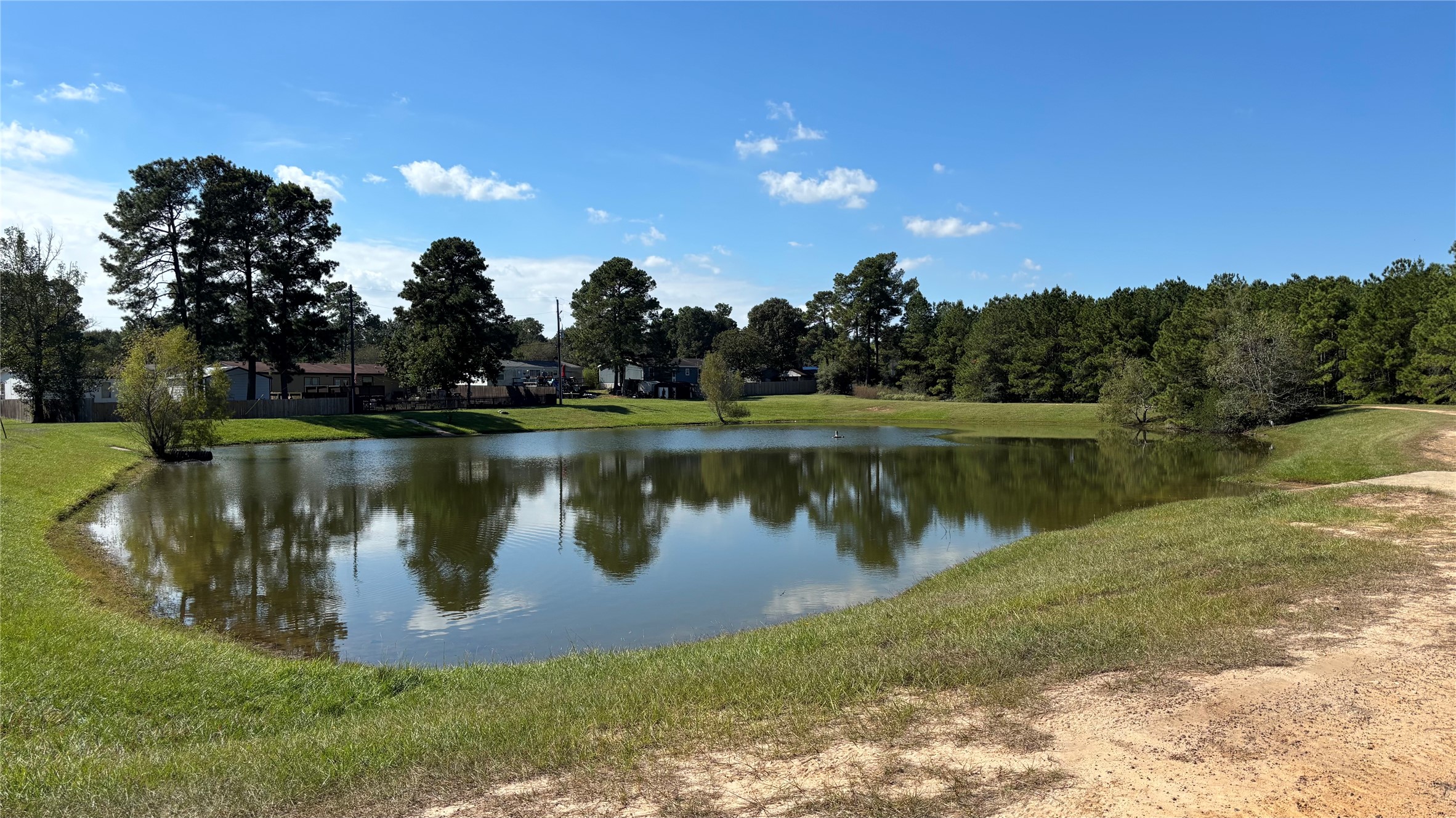 Neighborhood Pond