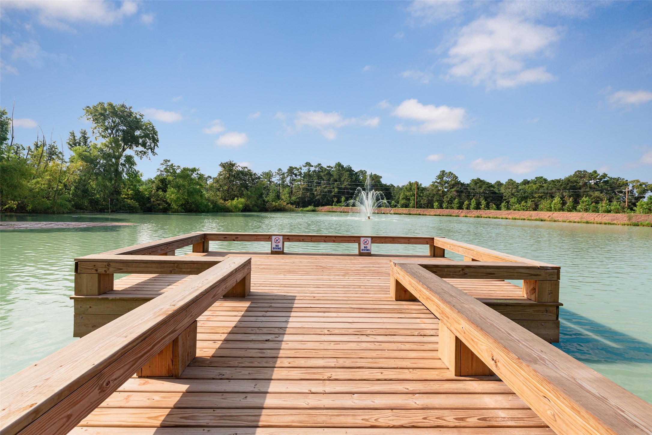 9213 Crestone Peak Drive, Willis, TX 77318