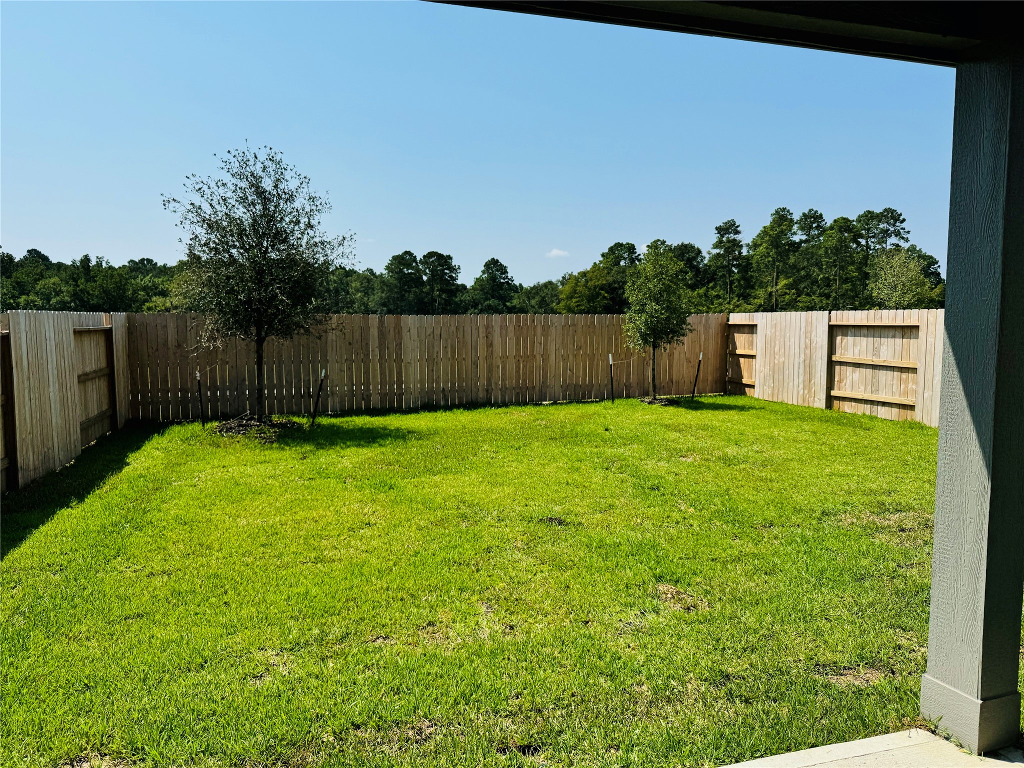 223 Shore Pointe Court, Montgomery, TX 77316