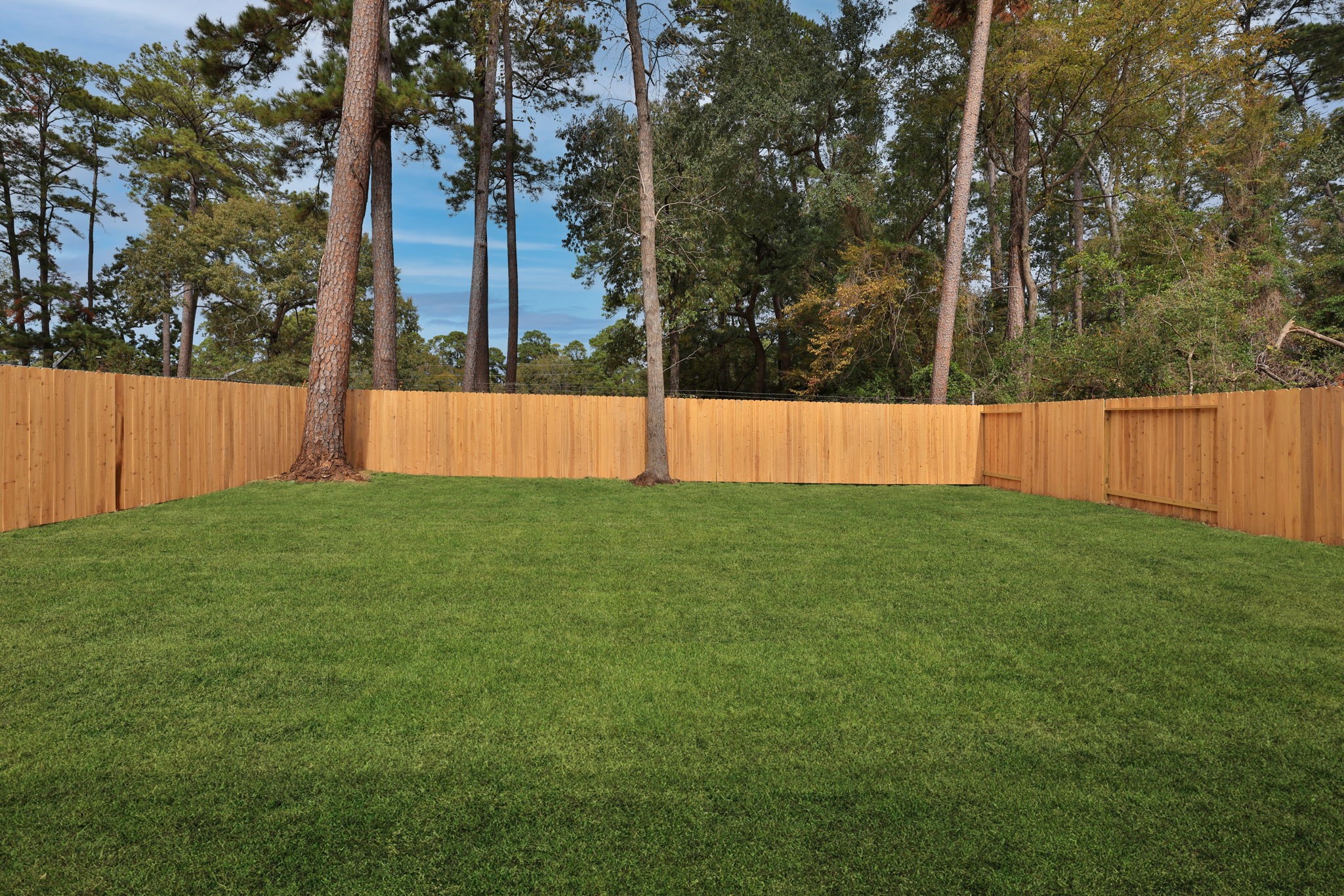 Large fully fenced private backyard