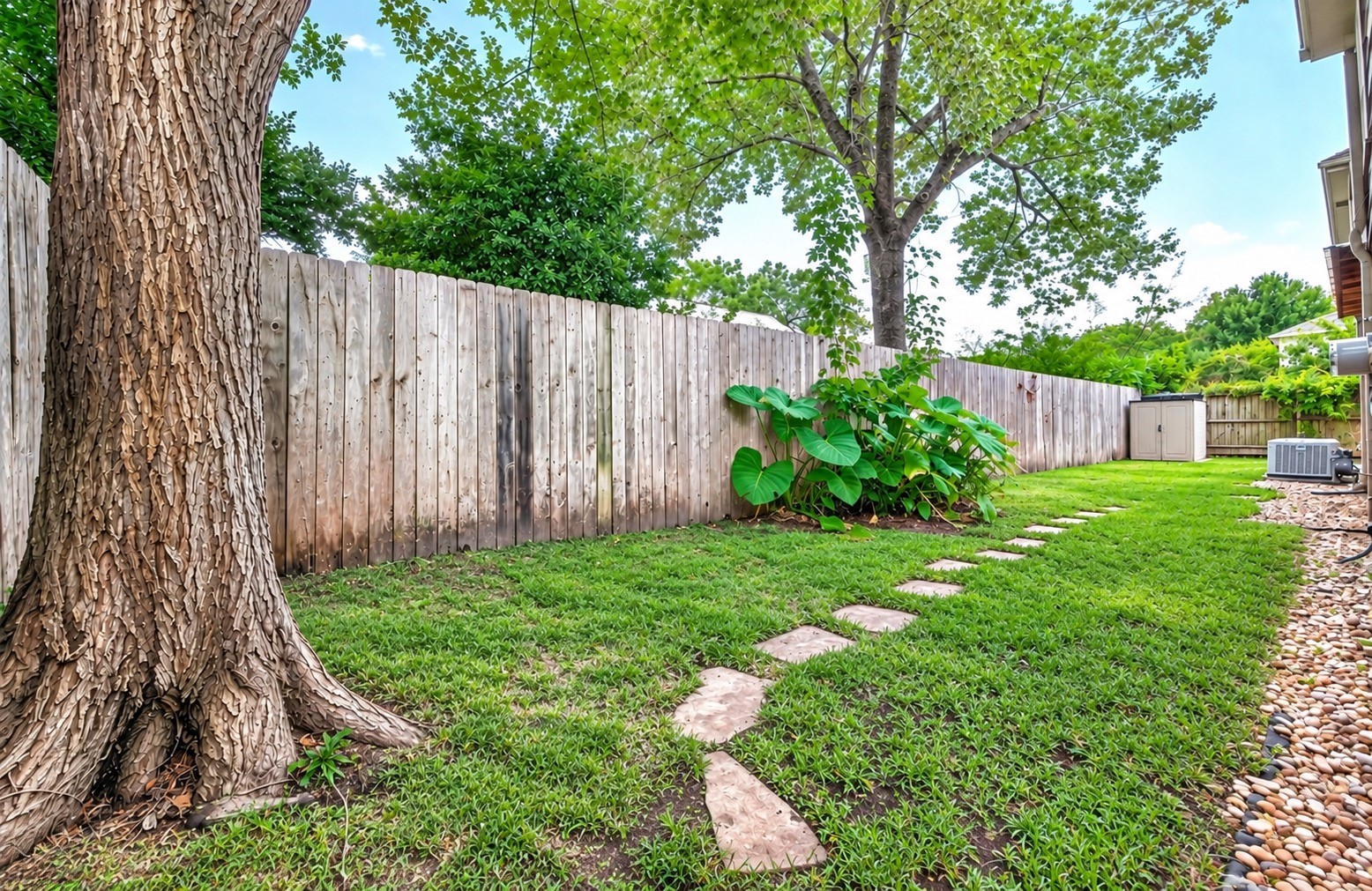 This yard is off the back patio. The storage shed in the background stays.