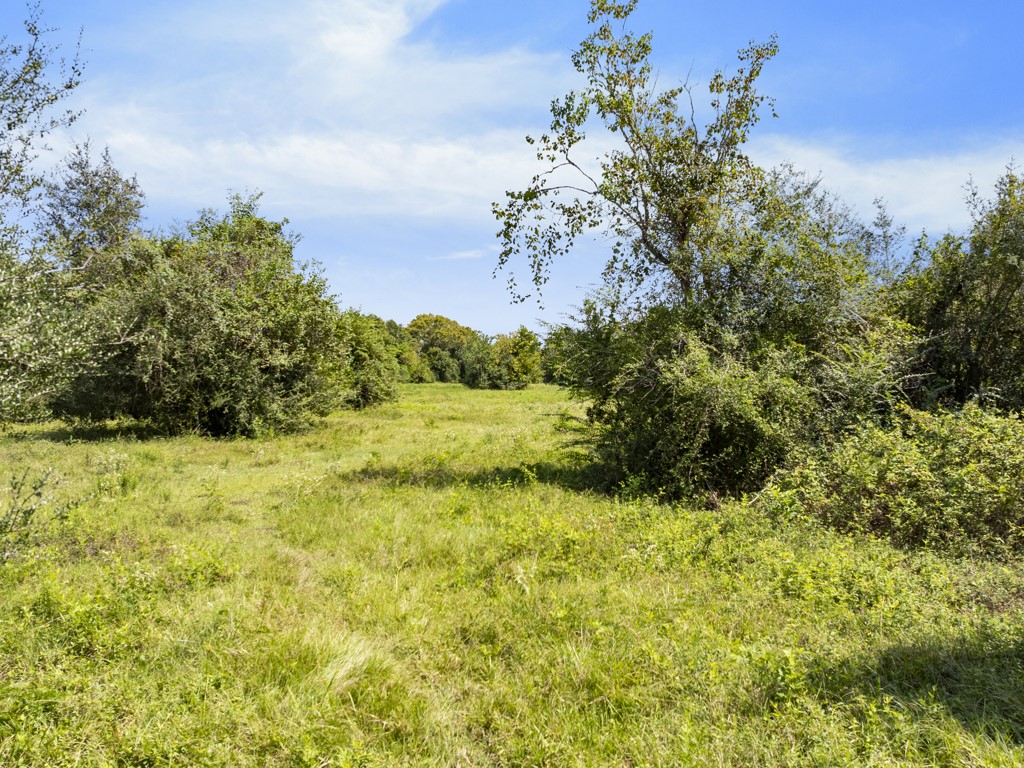 00 Tower Road, Santa Fe, TX 77517