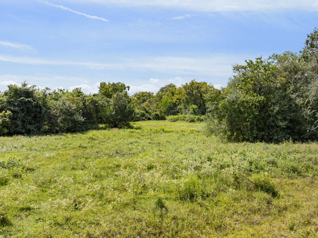 00 Tower Road, Santa Fe, TX 77517