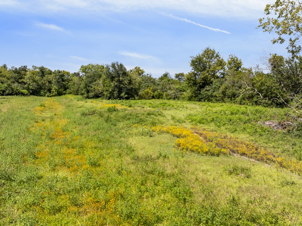 00 Tower Road, Santa Fe, TX 77517