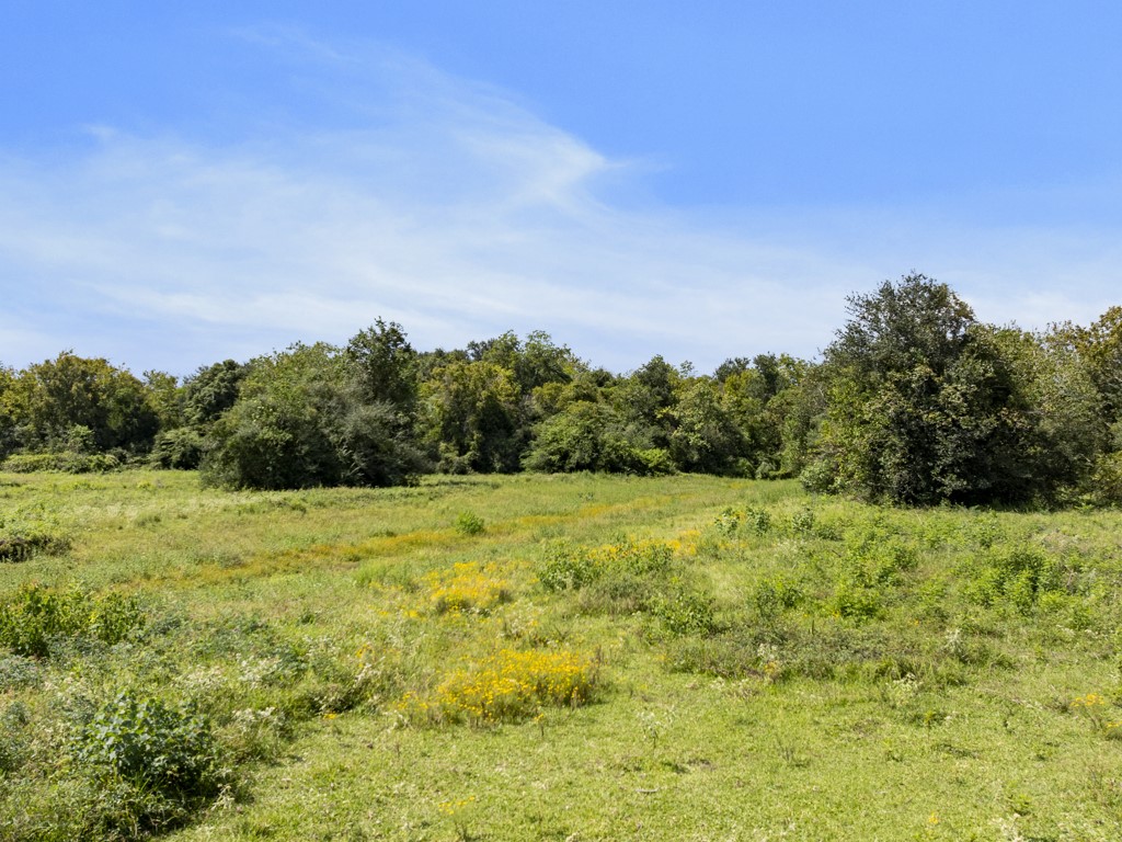 00 Tower Road, Santa Fe, TX 77517