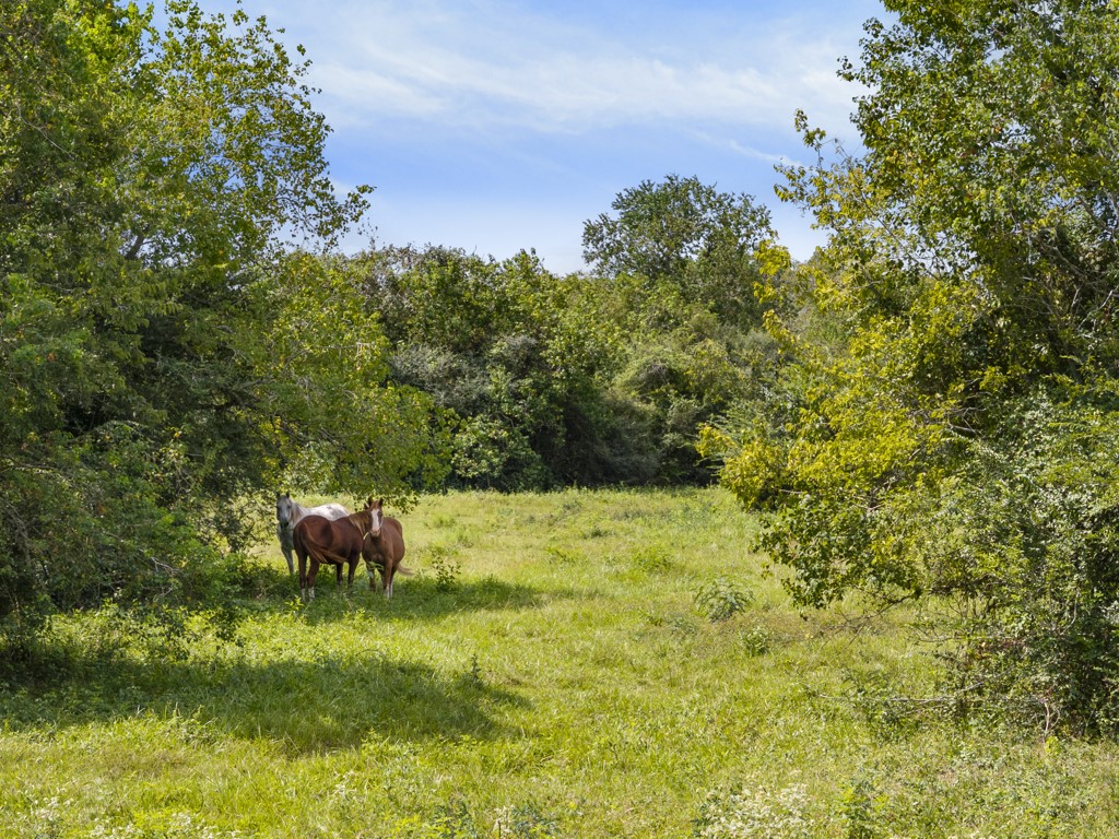 00 Tower Road, Santa Fe, TX 77517