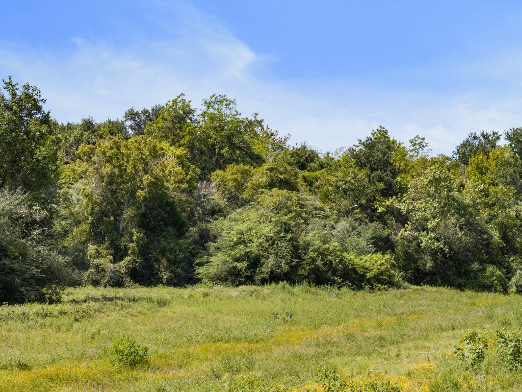 00 Tower Road, Santa Fe, TX 77517