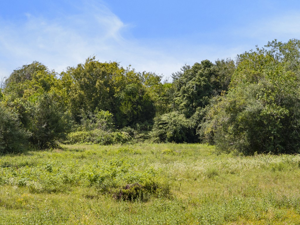 00 Tower Road, Santa Fe, TX 77517