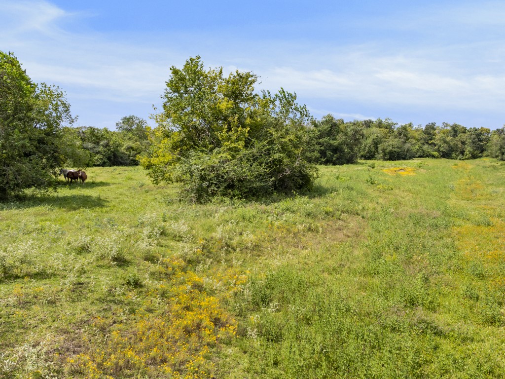 00 Tower Road, Santa Fe, TX 77517