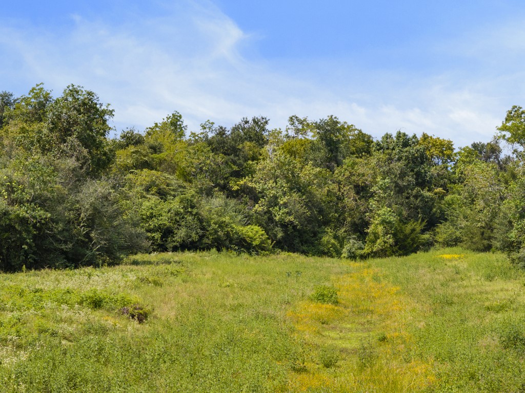 00 Tower Road, Santa Fe, TX 77517