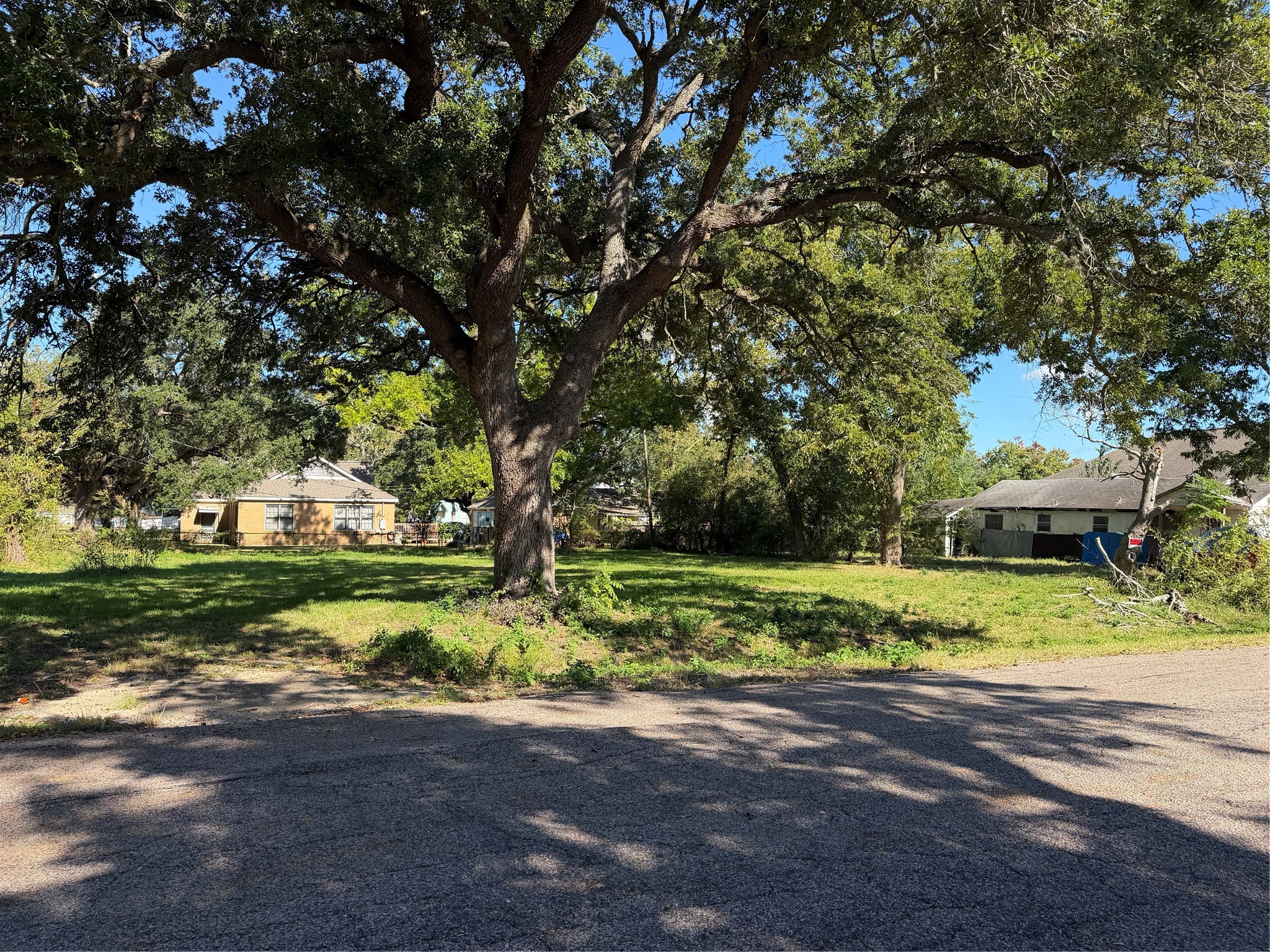 A Beautiful Setting for Your Future Home!

Discover this spacious 12,960 sq. ft. residential lot, featuring mature shade trees and an inviting setting for your future home.