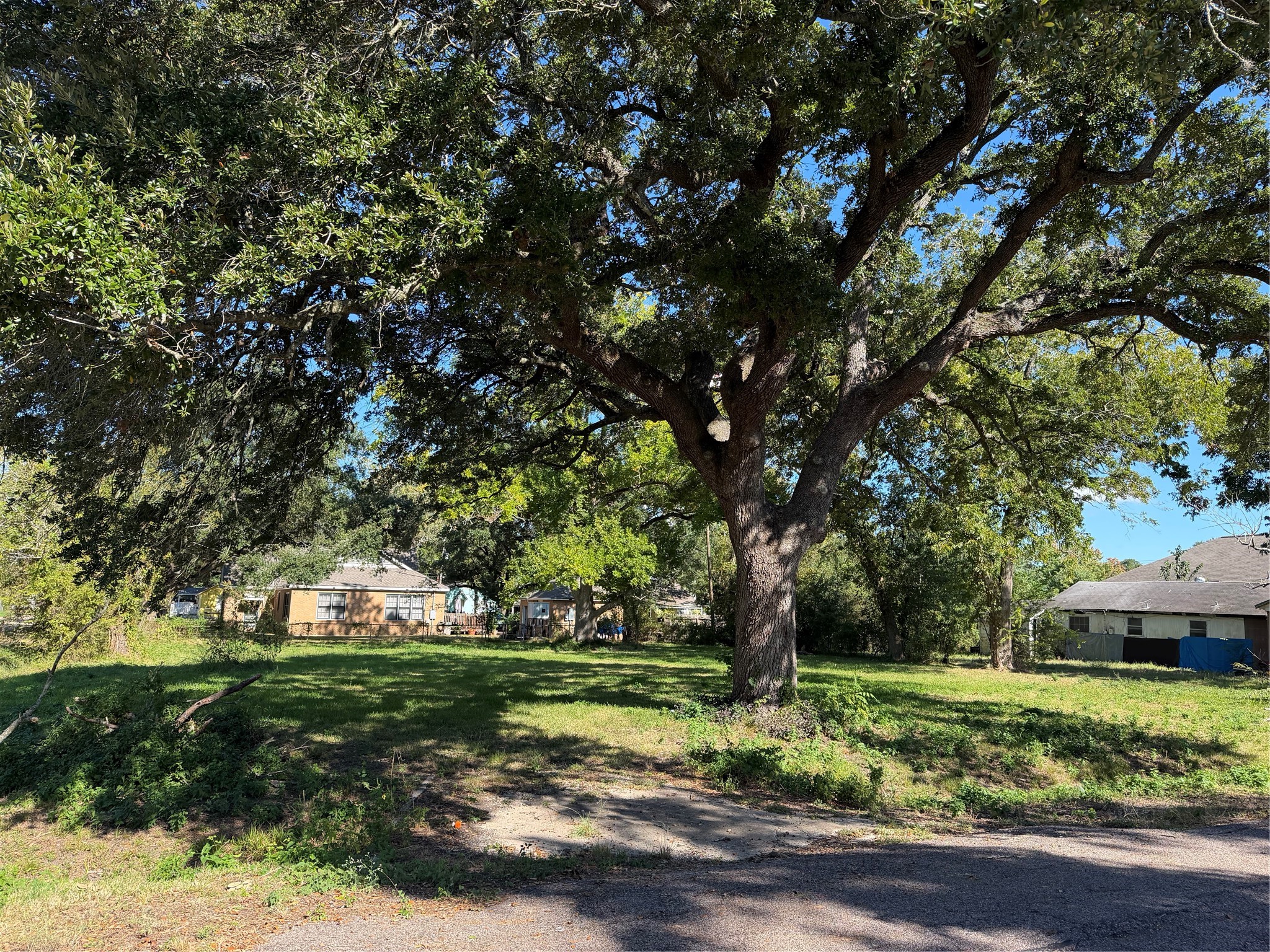 A Generous Homesite with Mature Trees!

Imagine the possibilities on this cleared residential lot, where established shade trees add character and natural appeal.