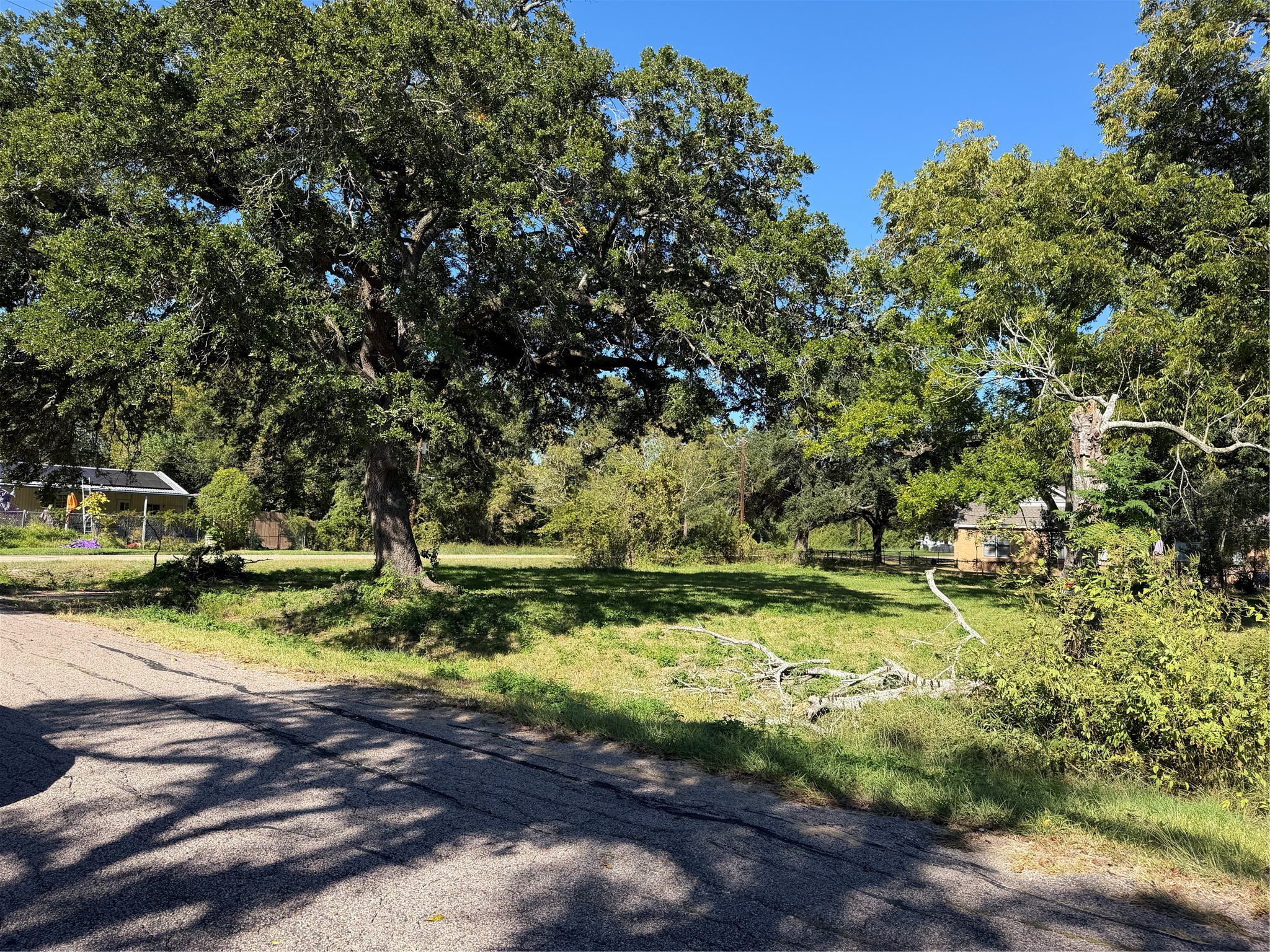 Space to Bring Your Vision to Life!

An attractive residential homesite offering approximately 0.30 acres of land with established trees and room to envision your next chapter.