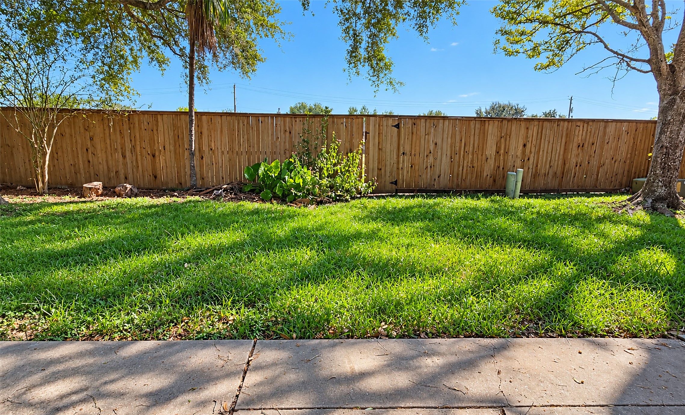 5304 Spring Branch Drive, Pearland, TX 77584