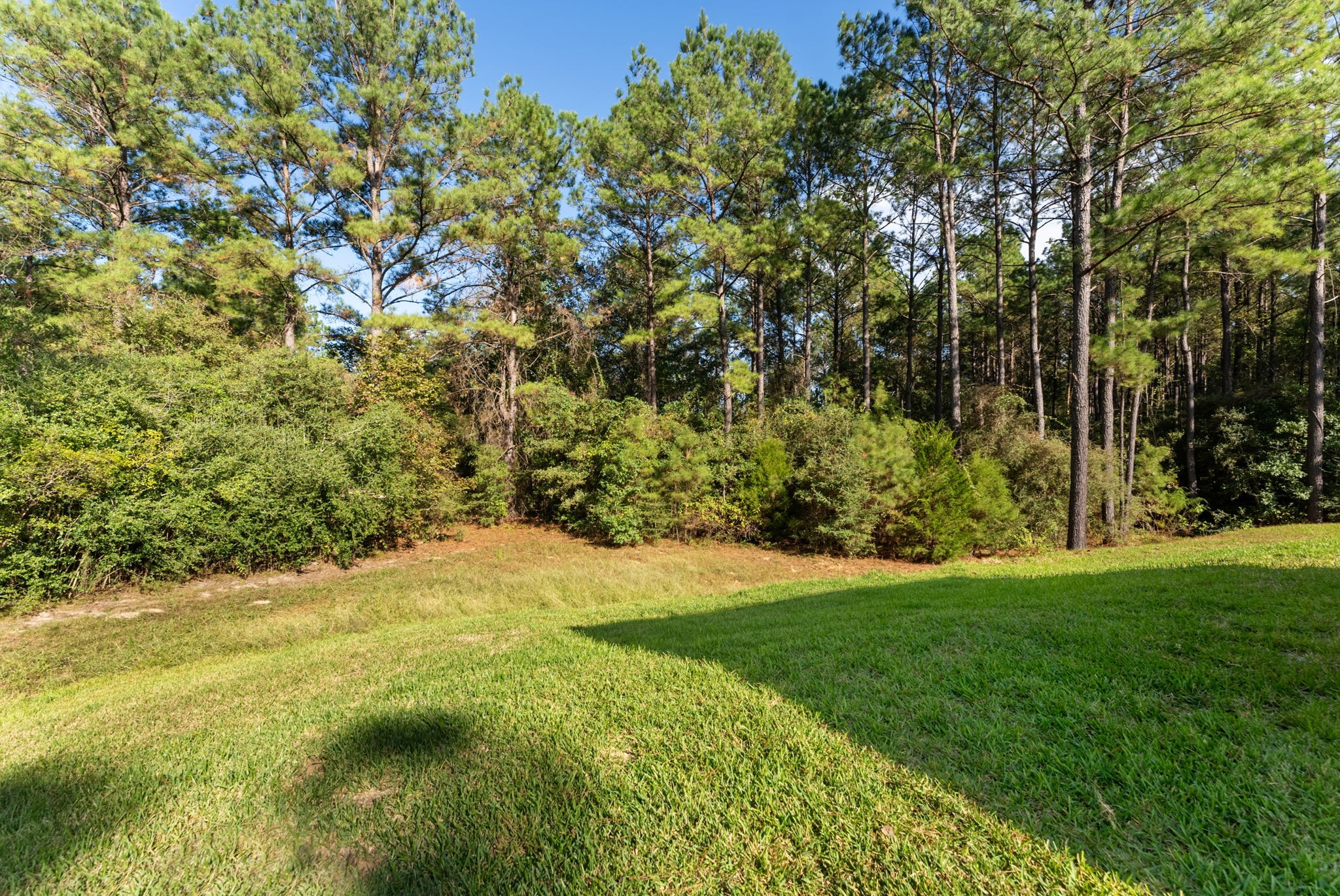 This spacious backyard features an expansive, manicured lawn beautifully framed by mature trees, offering a private and serene outdoor setting.