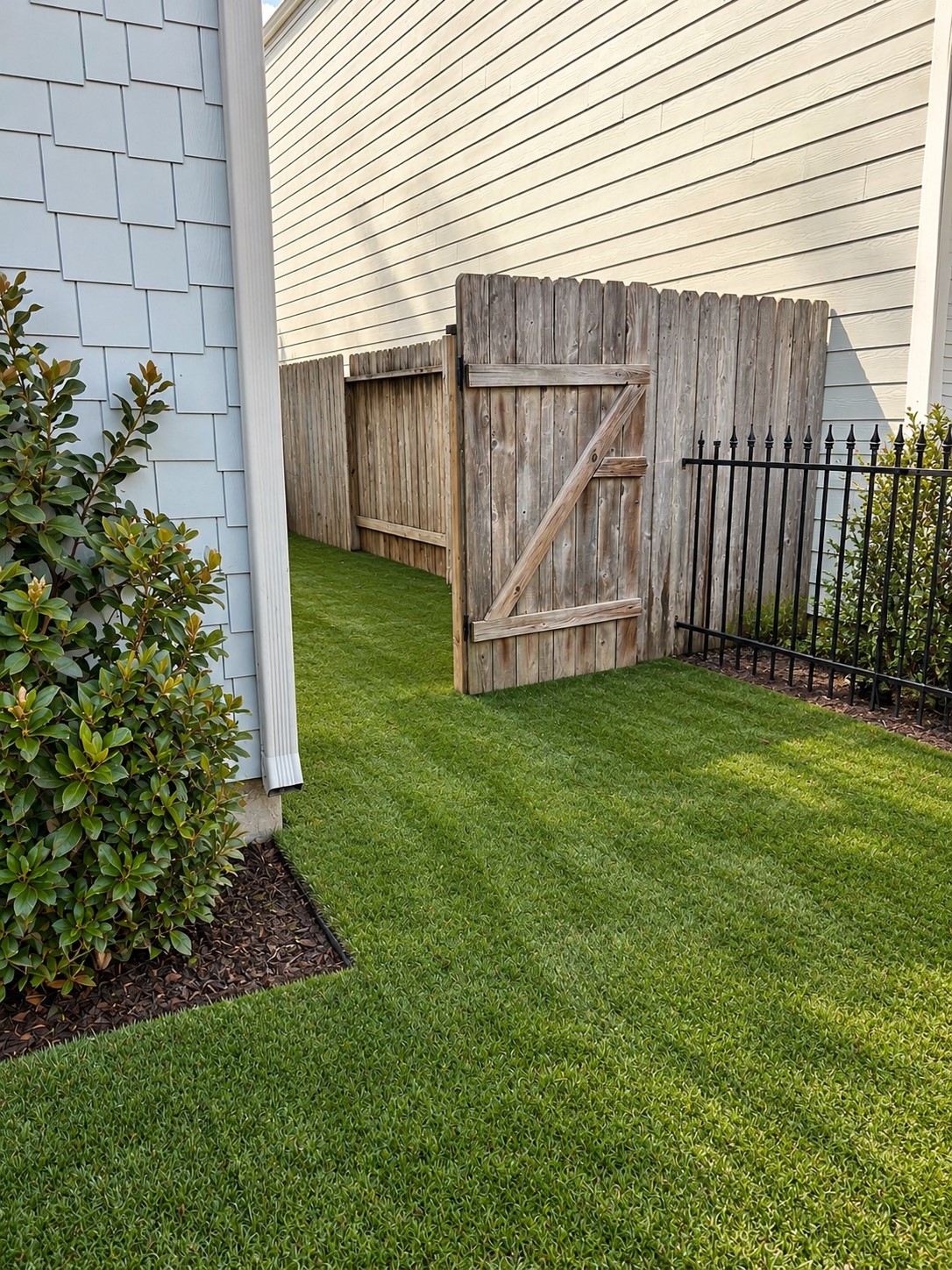Back Yard - Turf