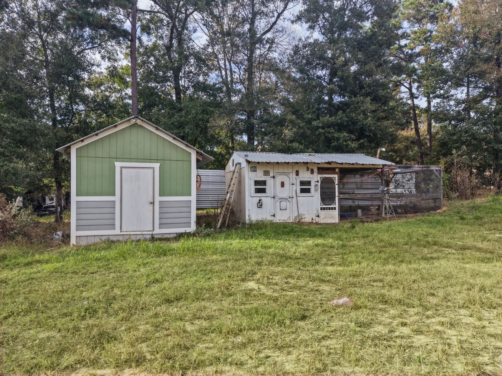 13819 Coaltown Road, Willis, TX 77378