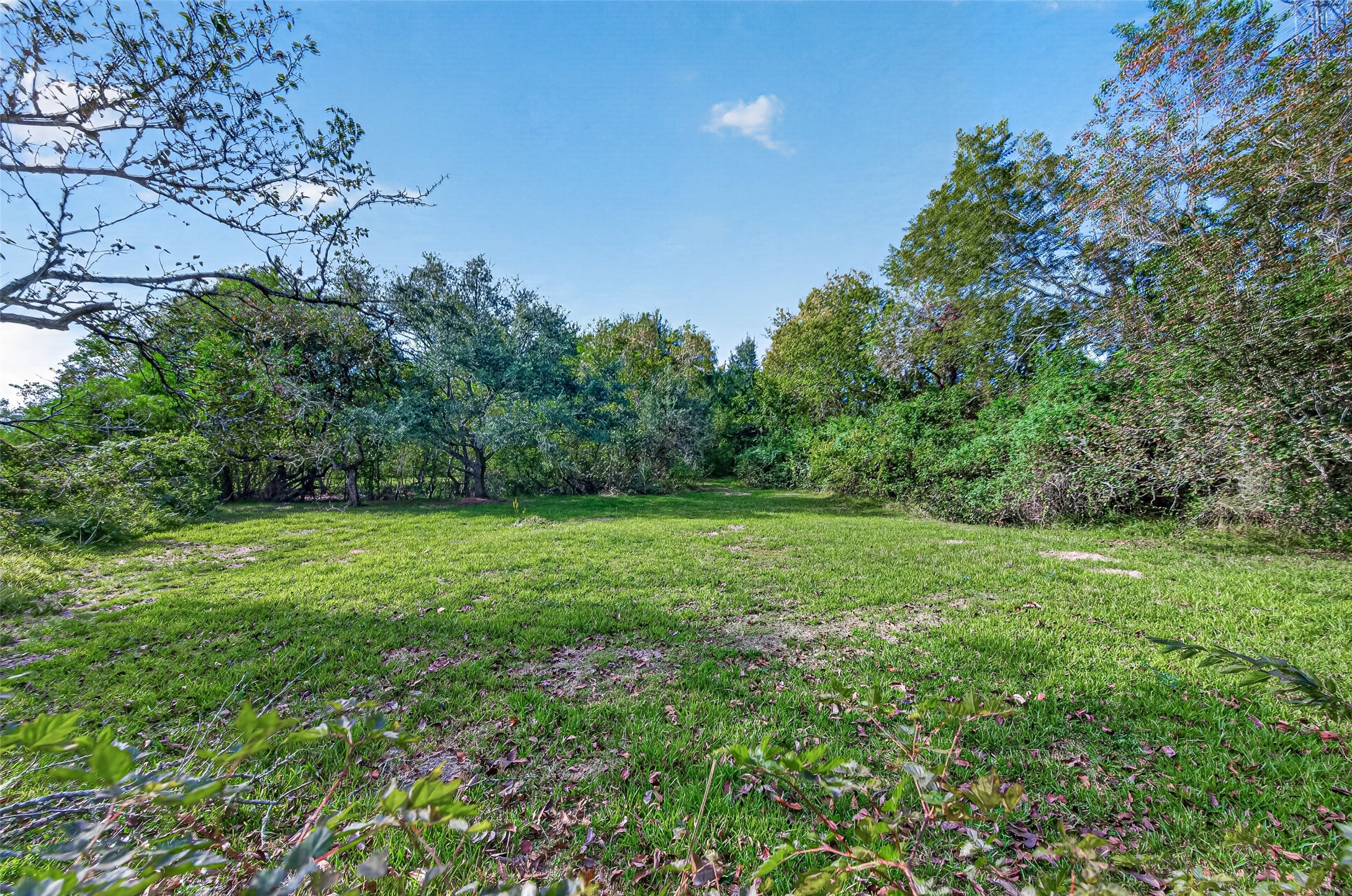 7610 Bissell Road, Manvel, TX 77578