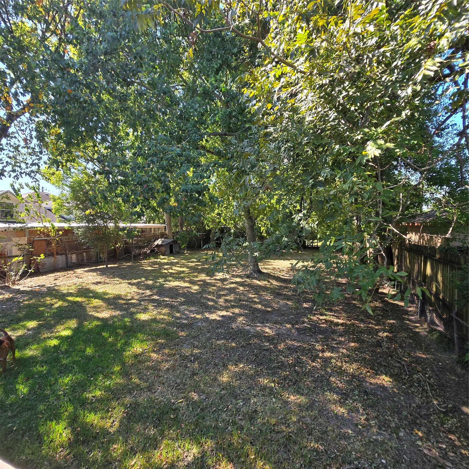 spacious Backyard