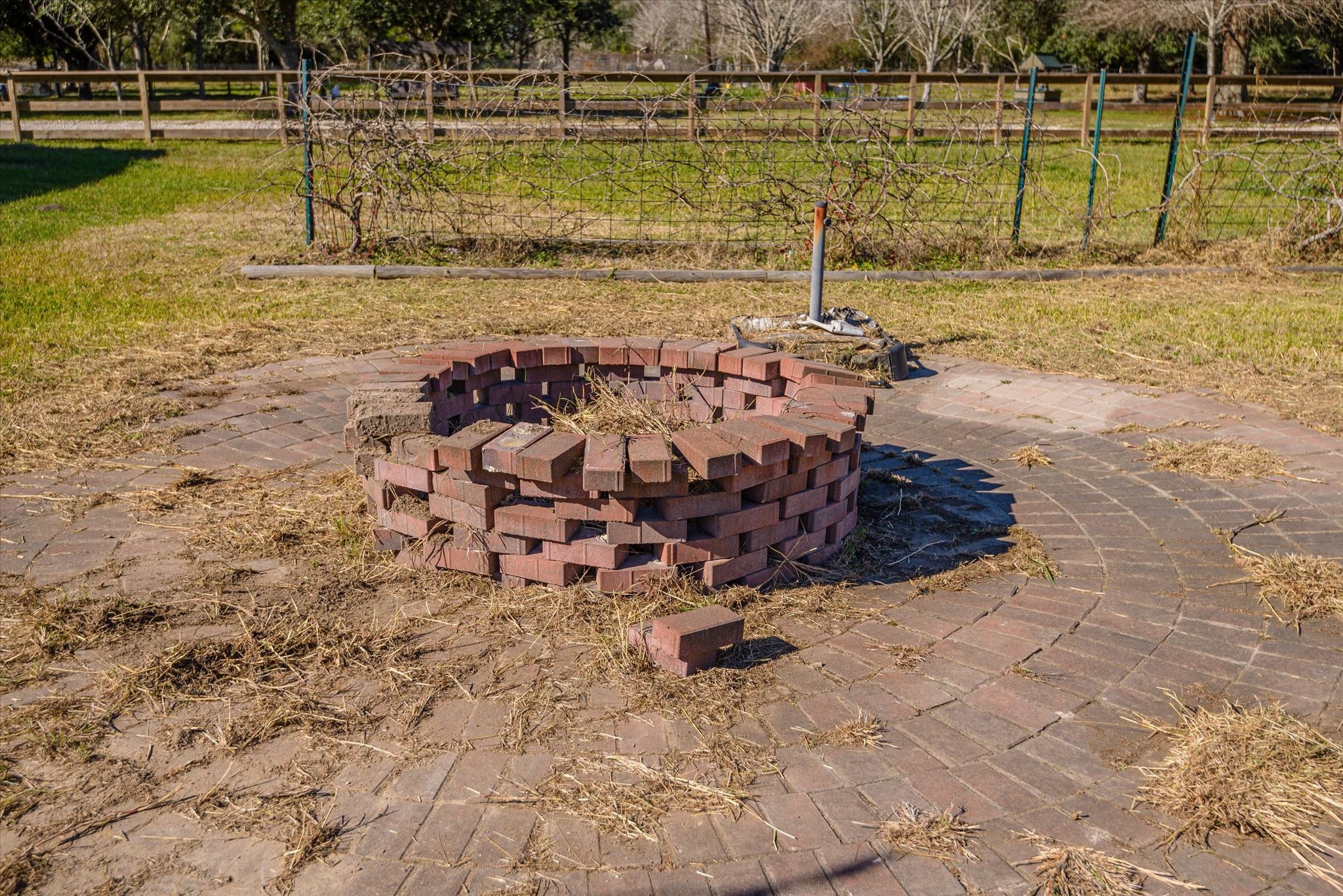 Fire pit area.