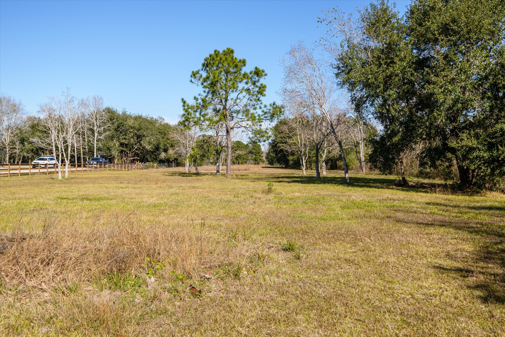 Acreage behind the house.