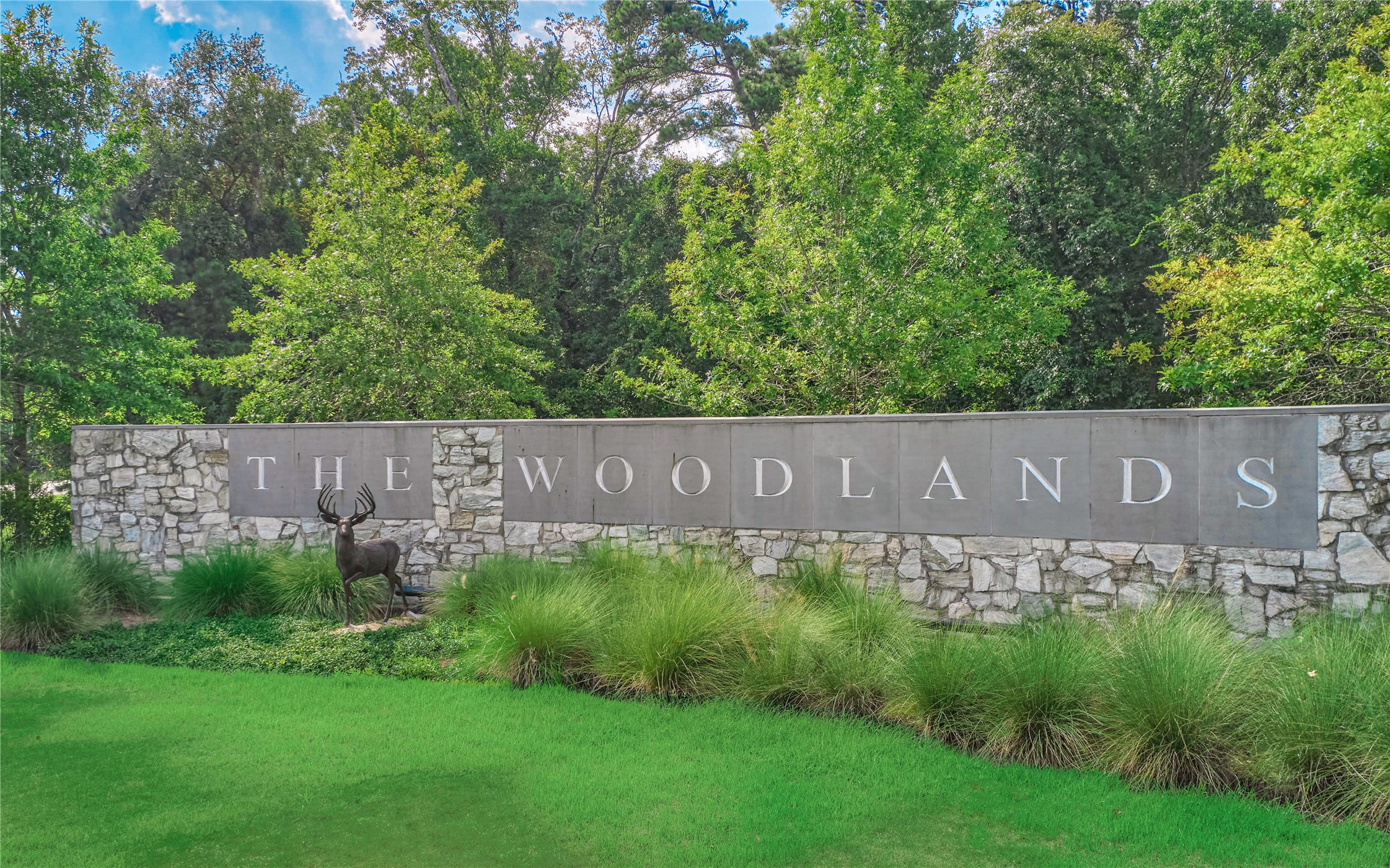 Welcome to The Woodlands, where natural beauty, exceptional amenities, and an unmatched lifestyle come together!