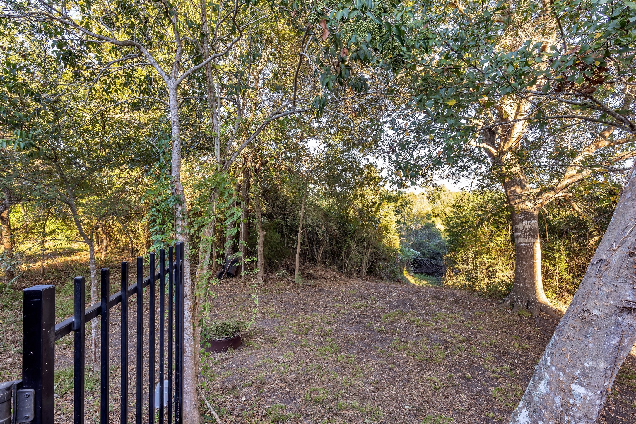 Follow the steps down for your own slice of Walden.