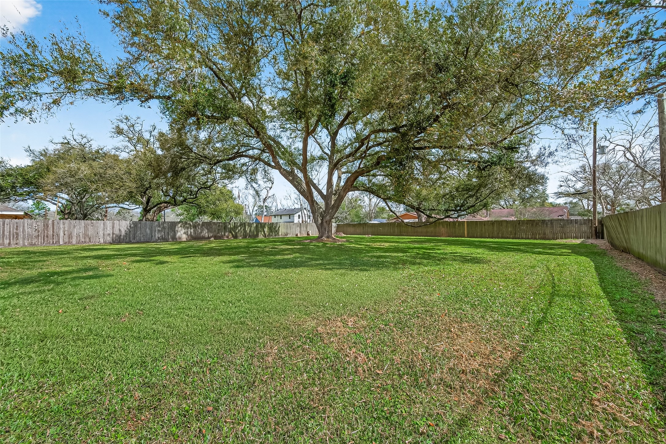 Spacious backyard with lush green lawn and a large, mature tree providing ample shade, enclosed by wooden fencing for privacy. Ideal for outdoor activities and relaxation.