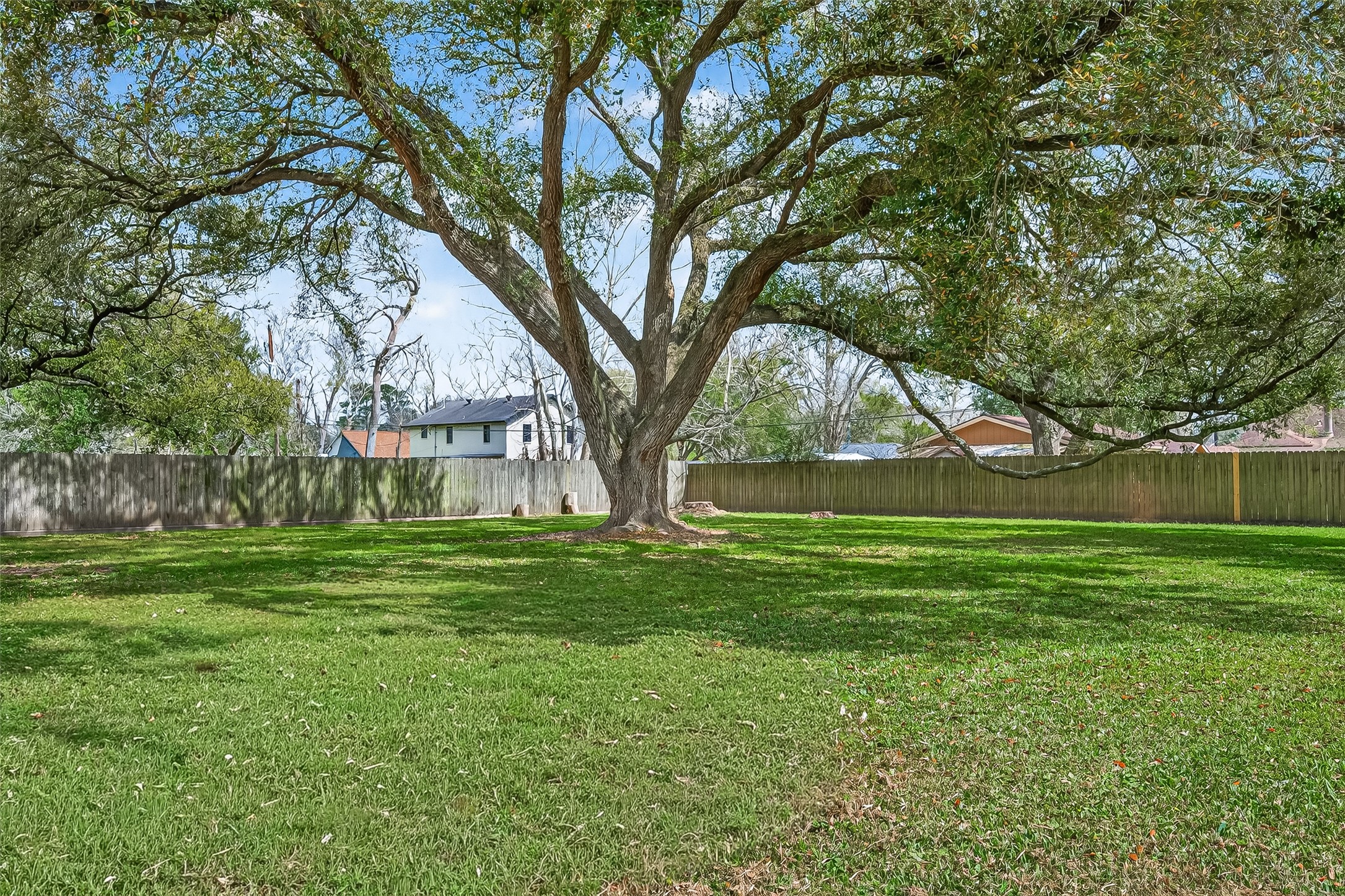 Spacious backyard with lush green grass and a large, mature tree providing ample shade. The area is enclosed by a wooden fence, offering privacy and a serene outdoor space.