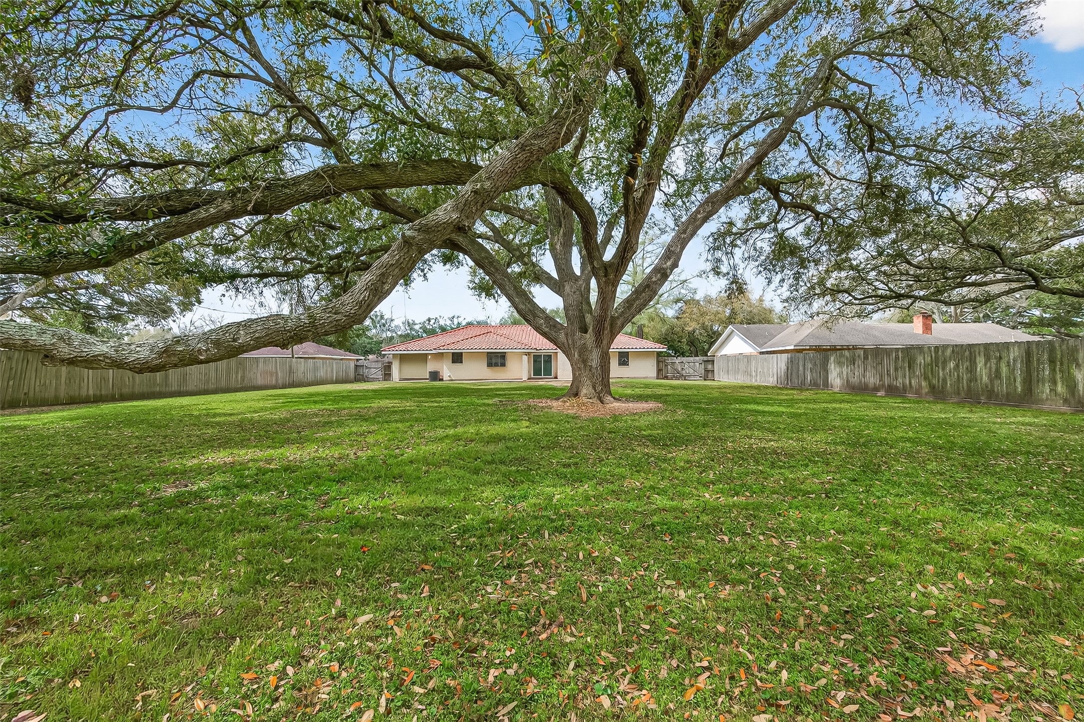 This photo showcases a spacious backyard featuring a large, mature tree, perfect for shade and outdoor activities. The house has a light exterior with a red-tiled roof and is surrounded by a wooden fence, offering privacy and a serene environment.