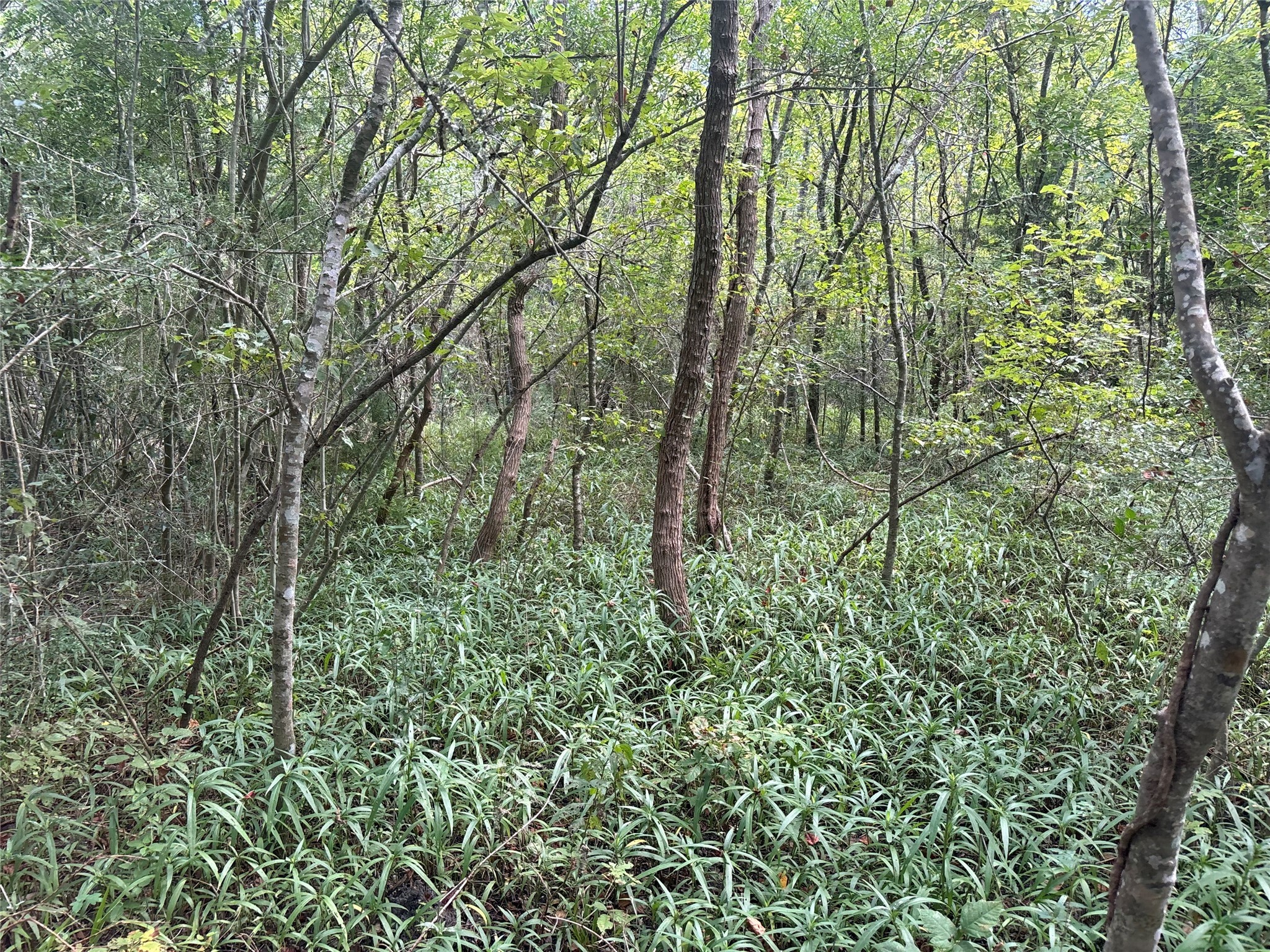 00 Flakes Addition - Lot 4, 5, 6 of BLK 7, Hitchcock, TX 77563