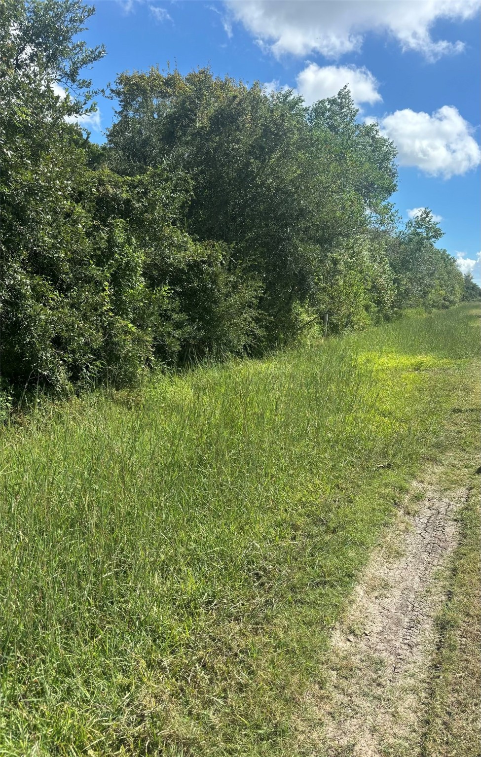 00 Flakes Addition - Lot 4, 5, 6 of BLK 7, Hitchcock, TX 77563