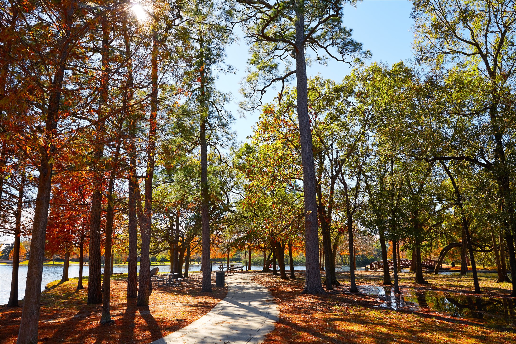 Herman Park!