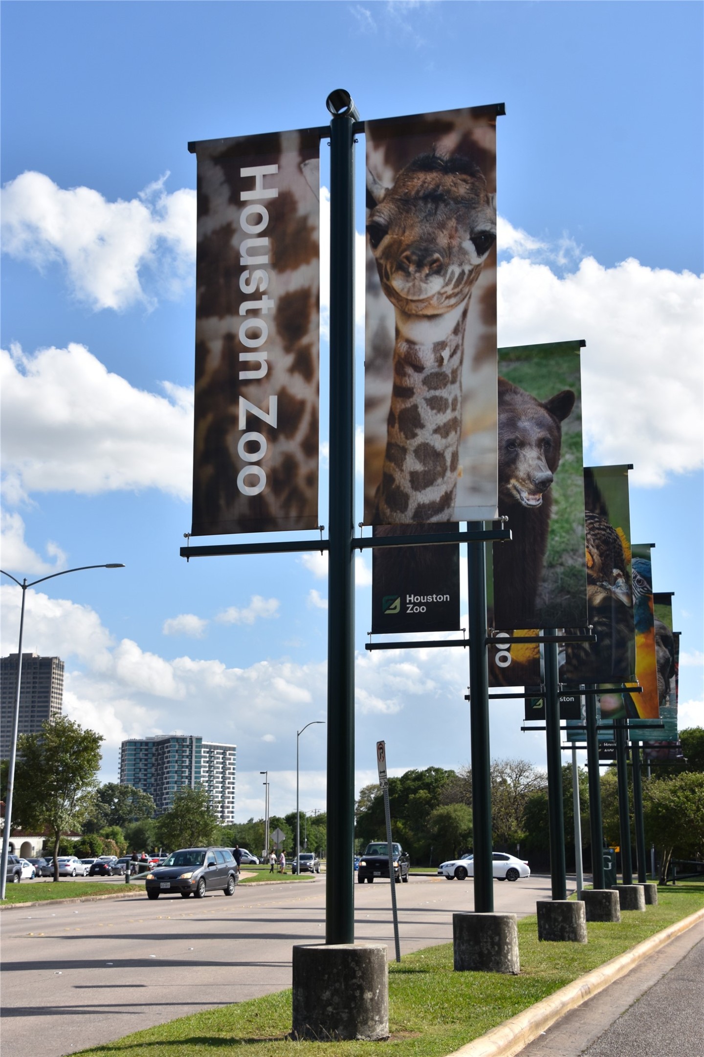 Houston ZOO!
