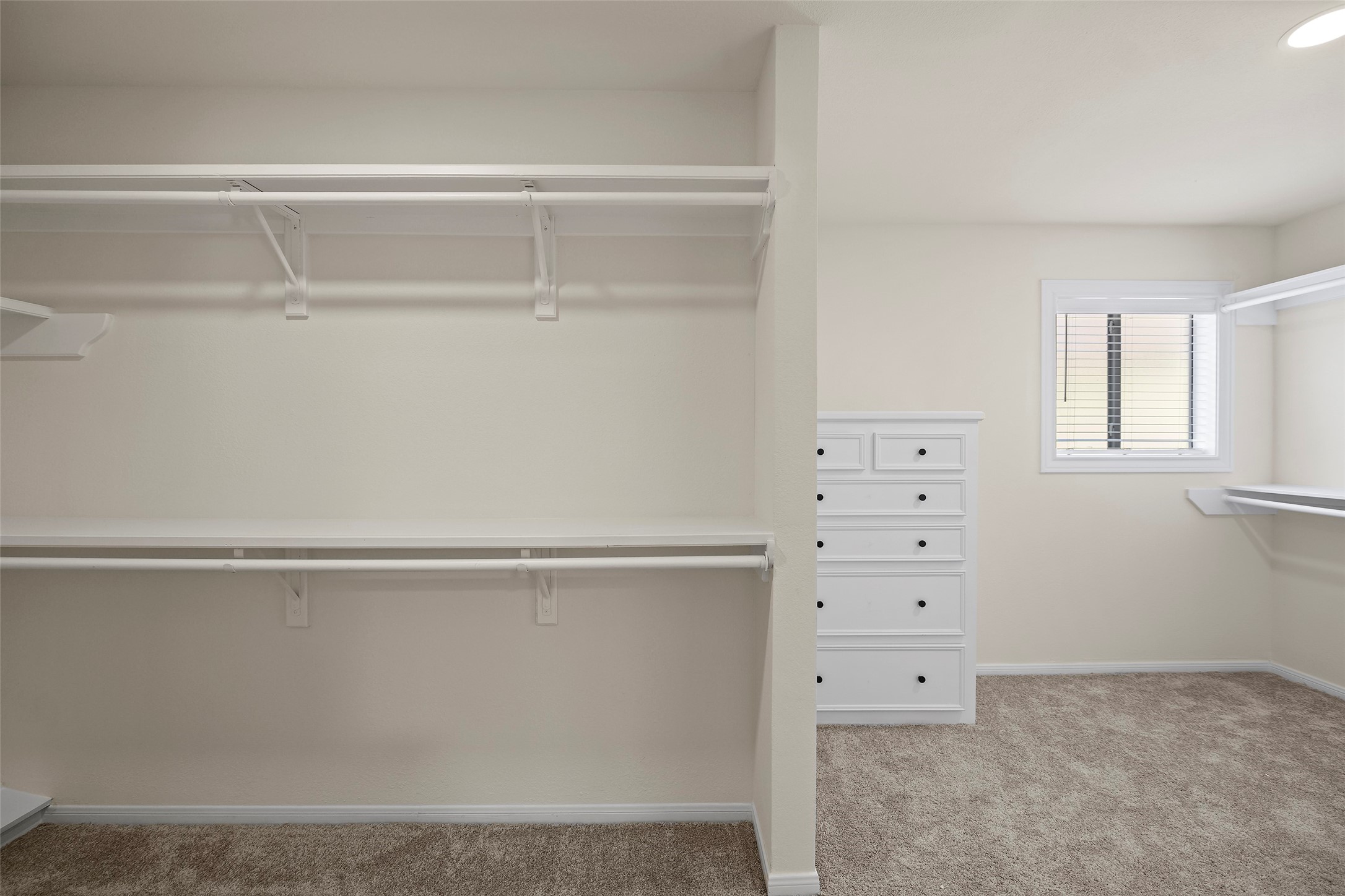 Primary Closet