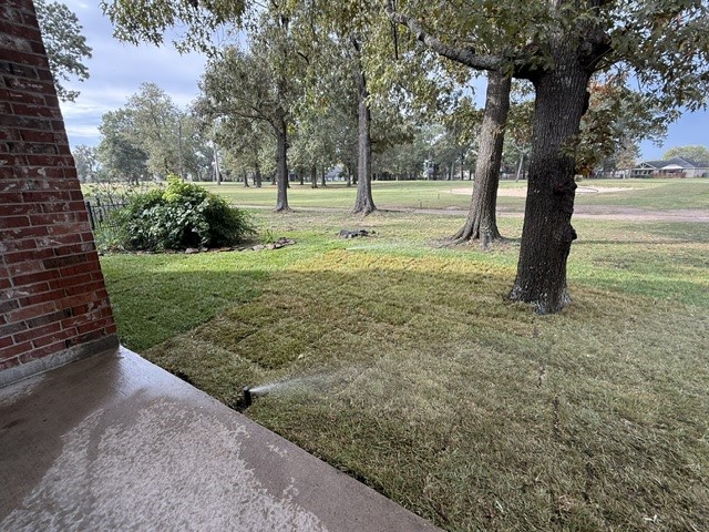 View out to Golf Course
